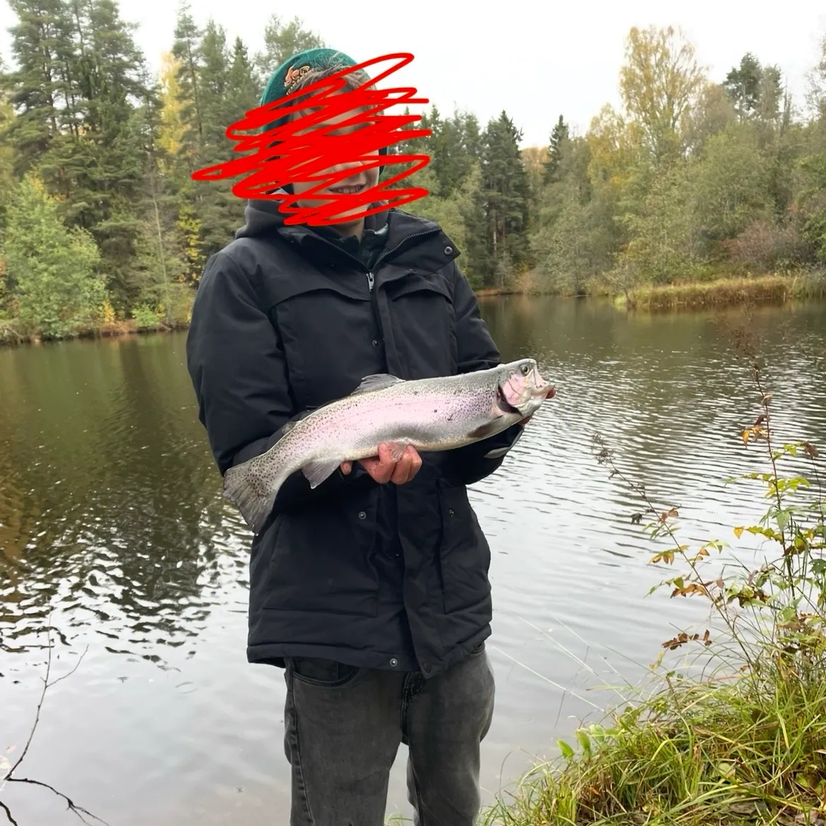 Rainbow trout caught on Fishbrain