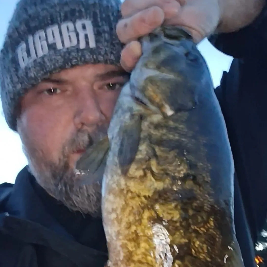 Smallmouth bass caught on Fishbrain