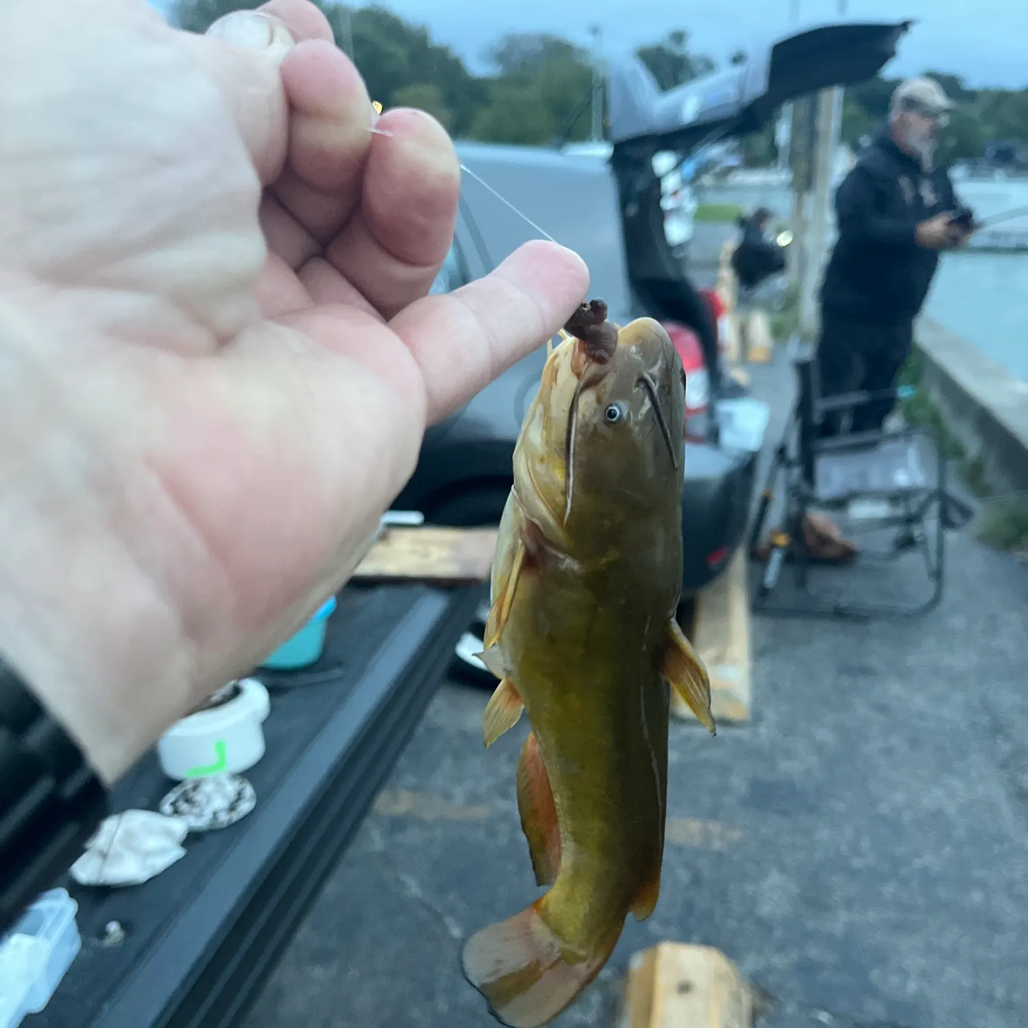 catch