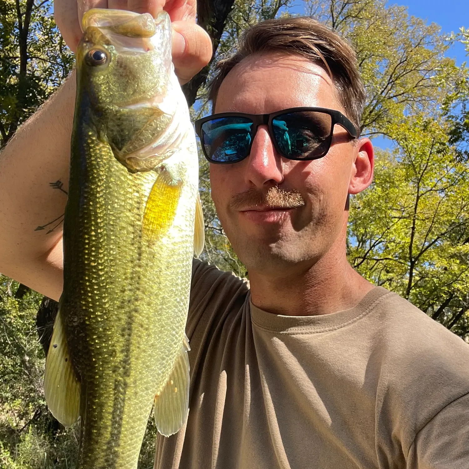 Largemouth bass caught on Fishbrain