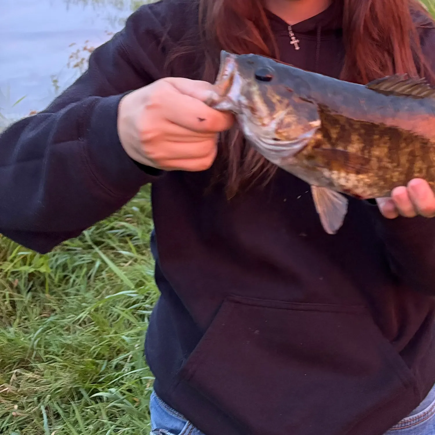 Smallmouth bass caught on Fishbrain