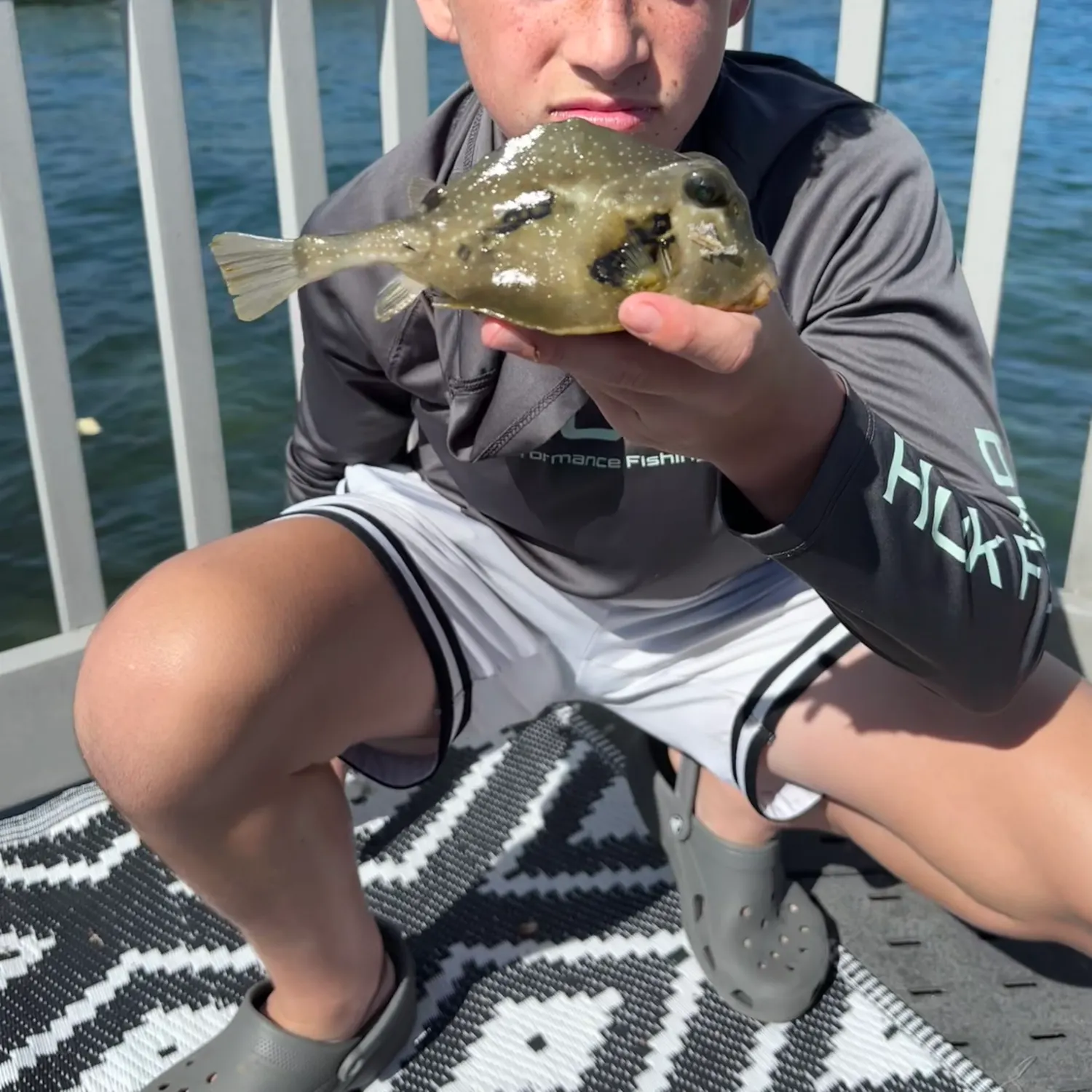 The most recent Smooth trunkfish catches on Fishbrain