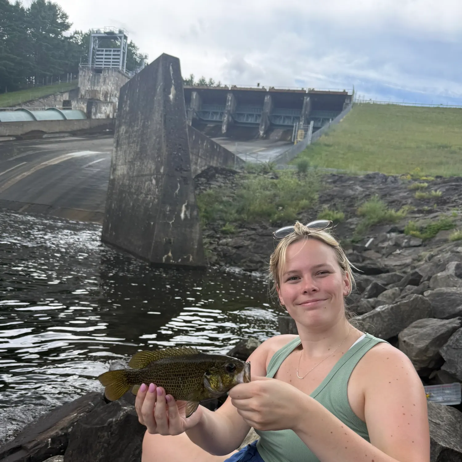 The most recent Rock bass catches on Fishbrain