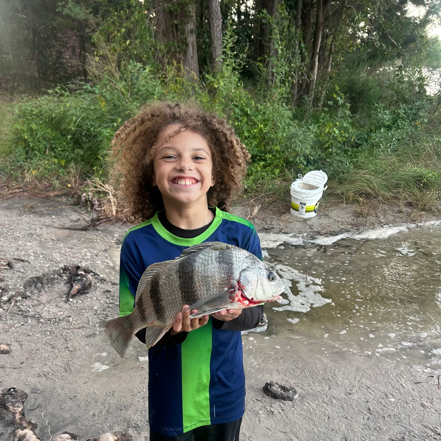Black drum caught on Fishbrain