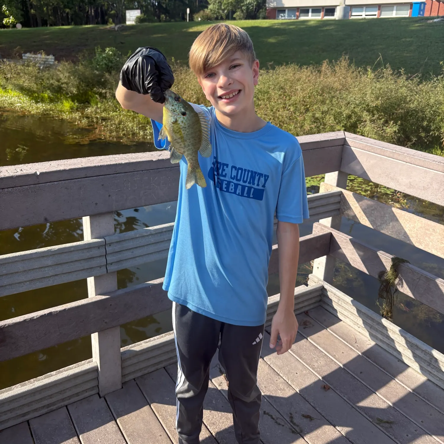 Redear sunfish caught on Fishbrain