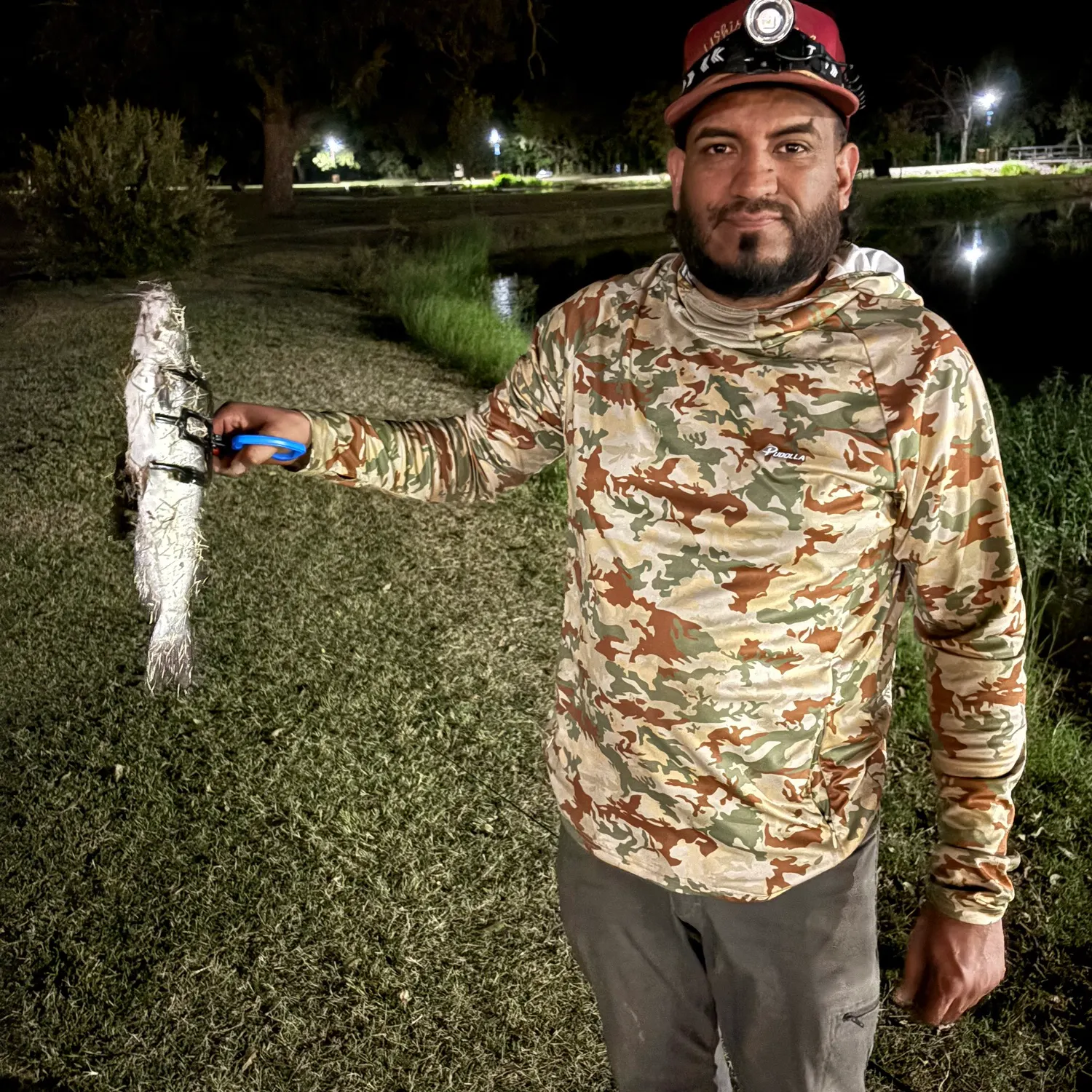 Channel catfish caught on Fishbrain