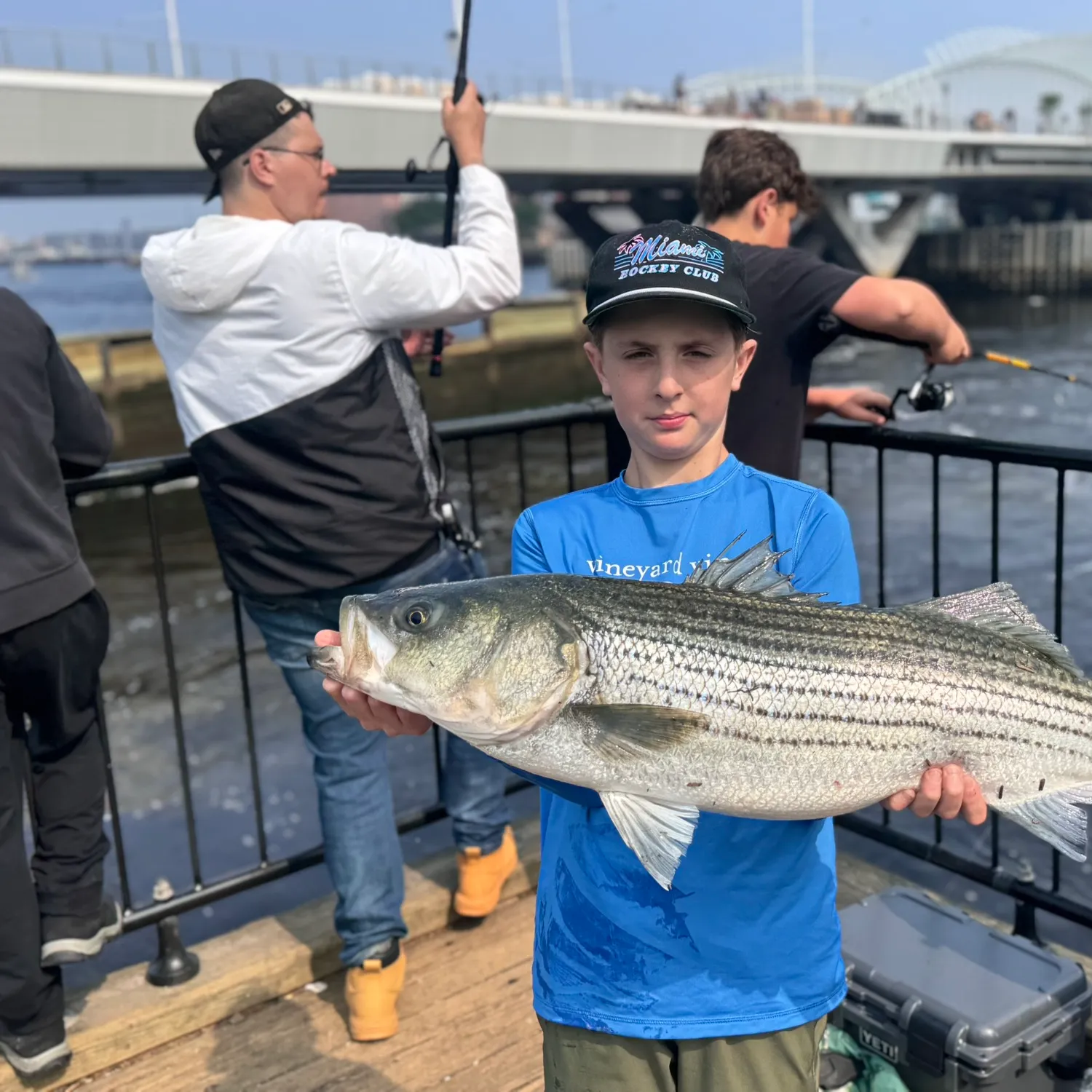 The most recent Striped bass catches on Fishbrain