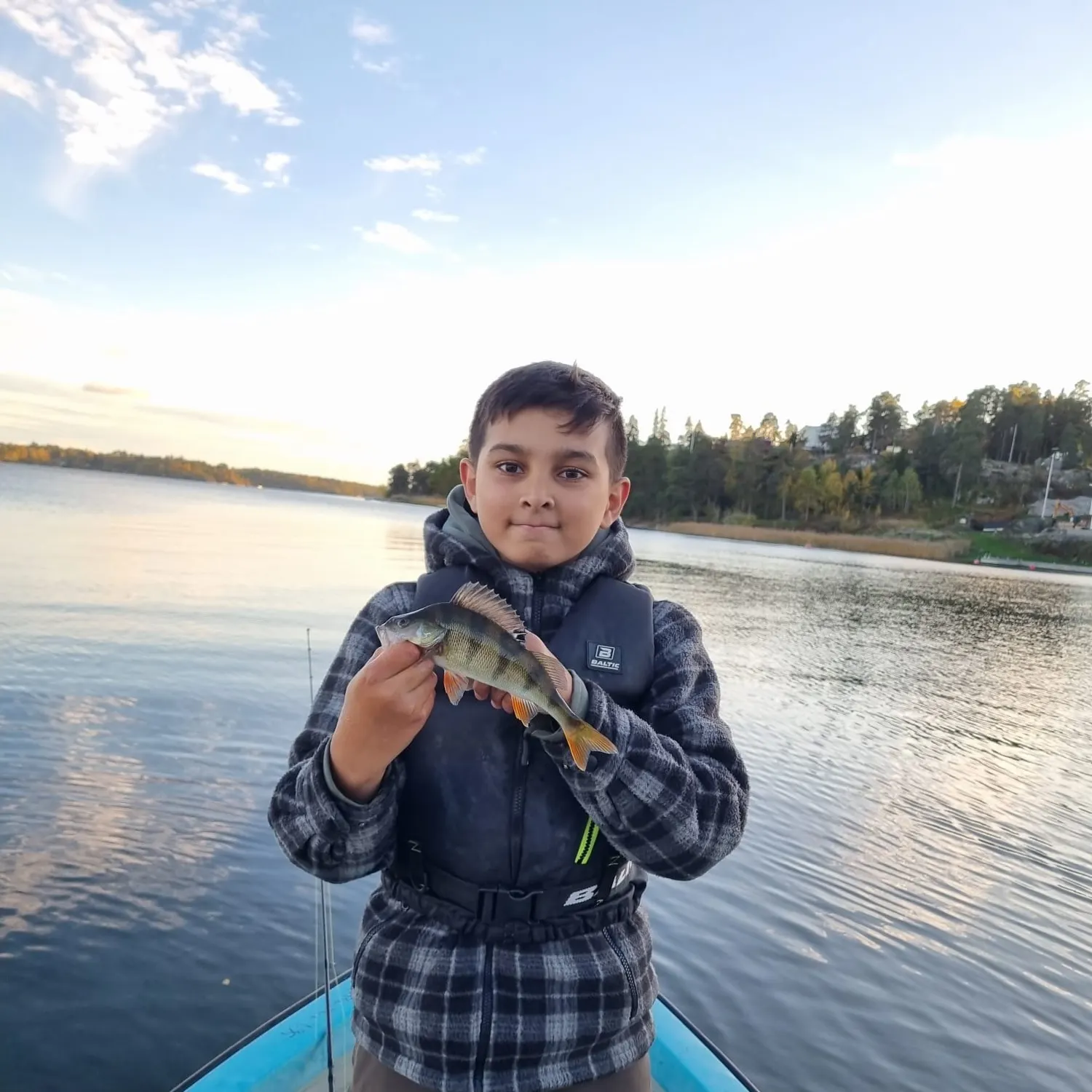 European perch caught on Fishbrain
