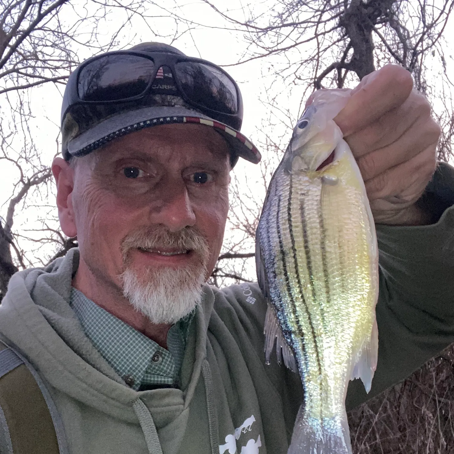 The most recent Yellow bass catches on Fishbrain