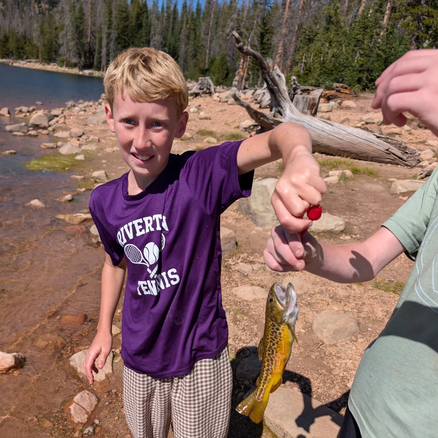 Tiger trout caught on Fishbrain