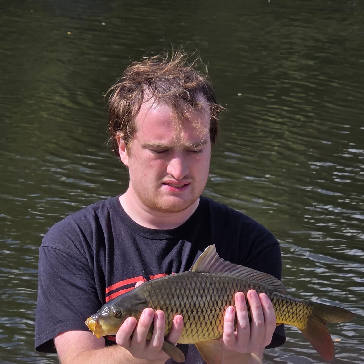 Common carp caught on Fishbrain