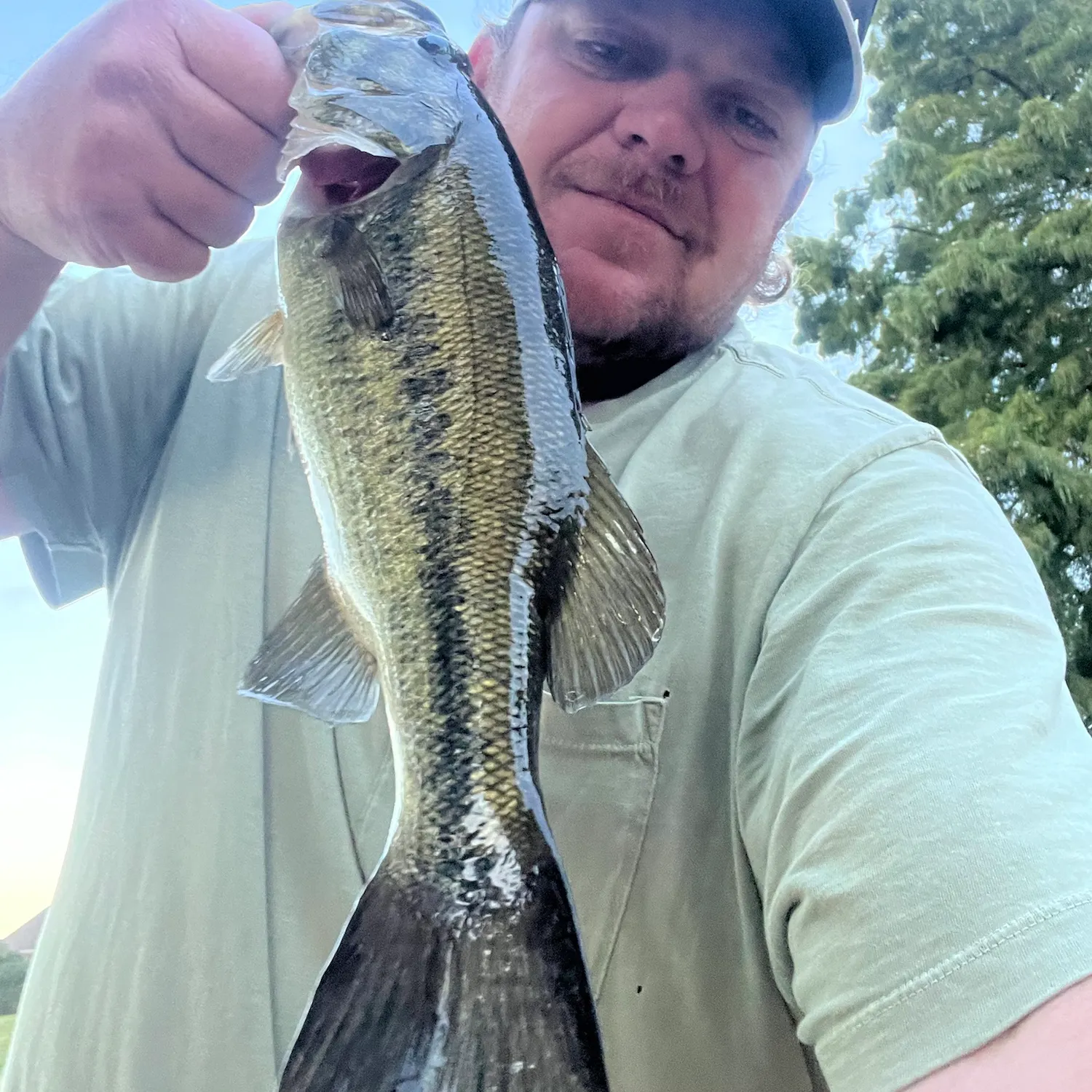 Largemouth bass caught on Fishbrain