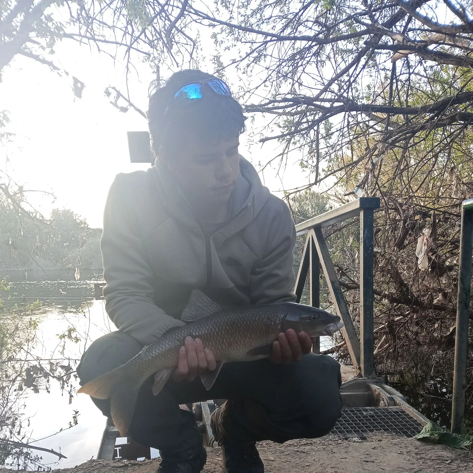 The most recent Common barbel catches on Fishbrain