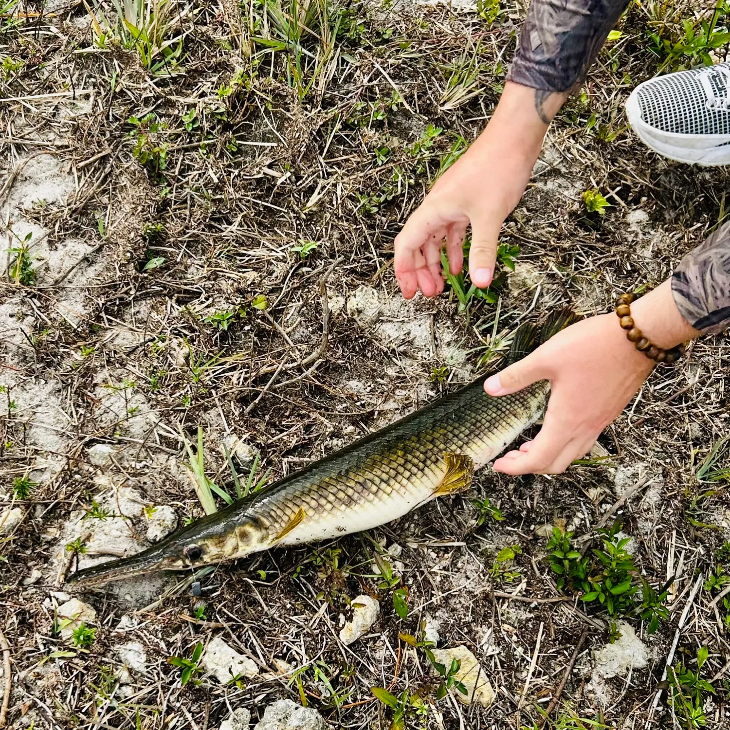 most liked catch image