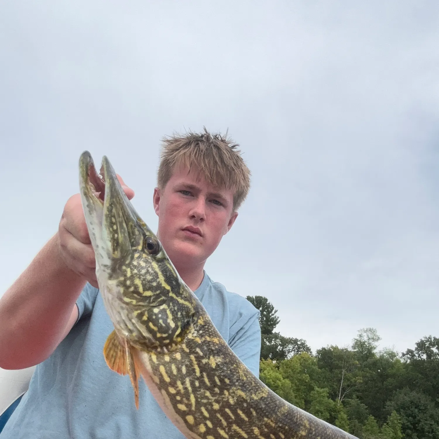 Northern pike caught on Fishbrain