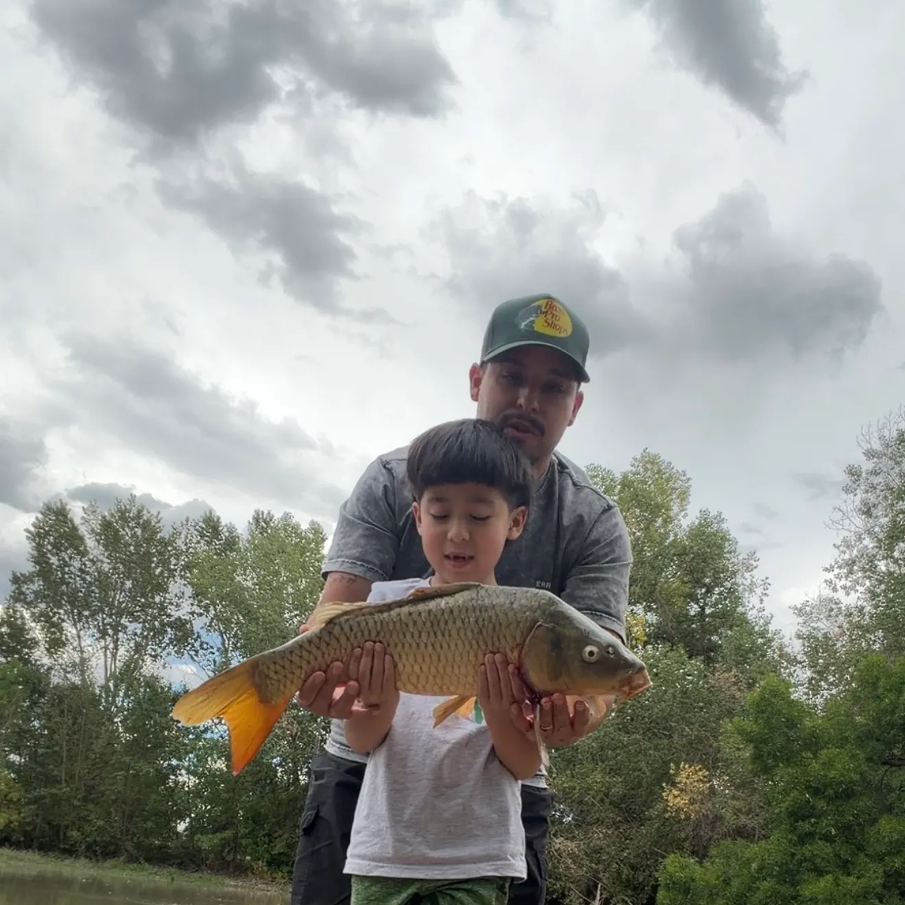 Common carp caught on Fishbrain