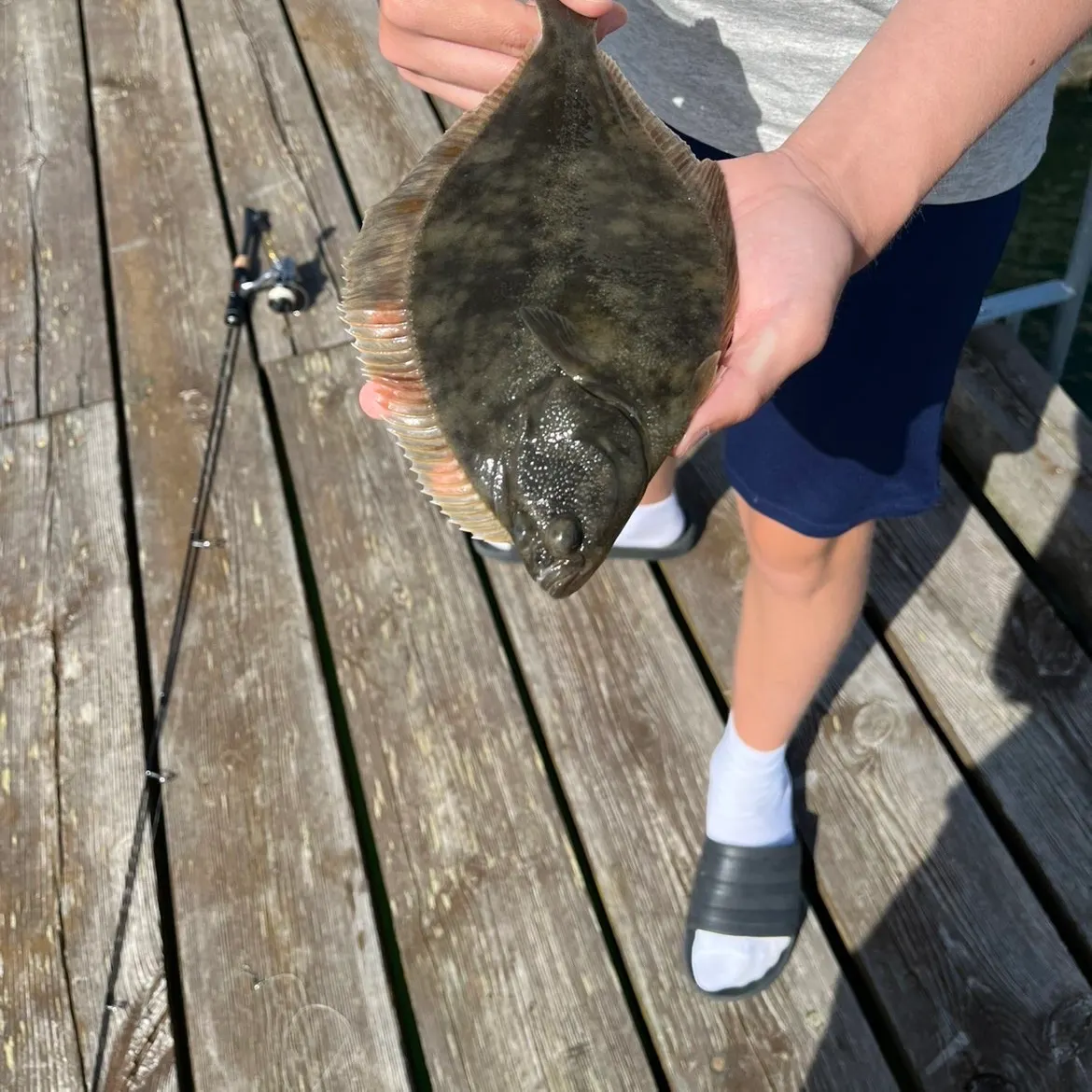 The most recent Common dab catches on Fishbrain