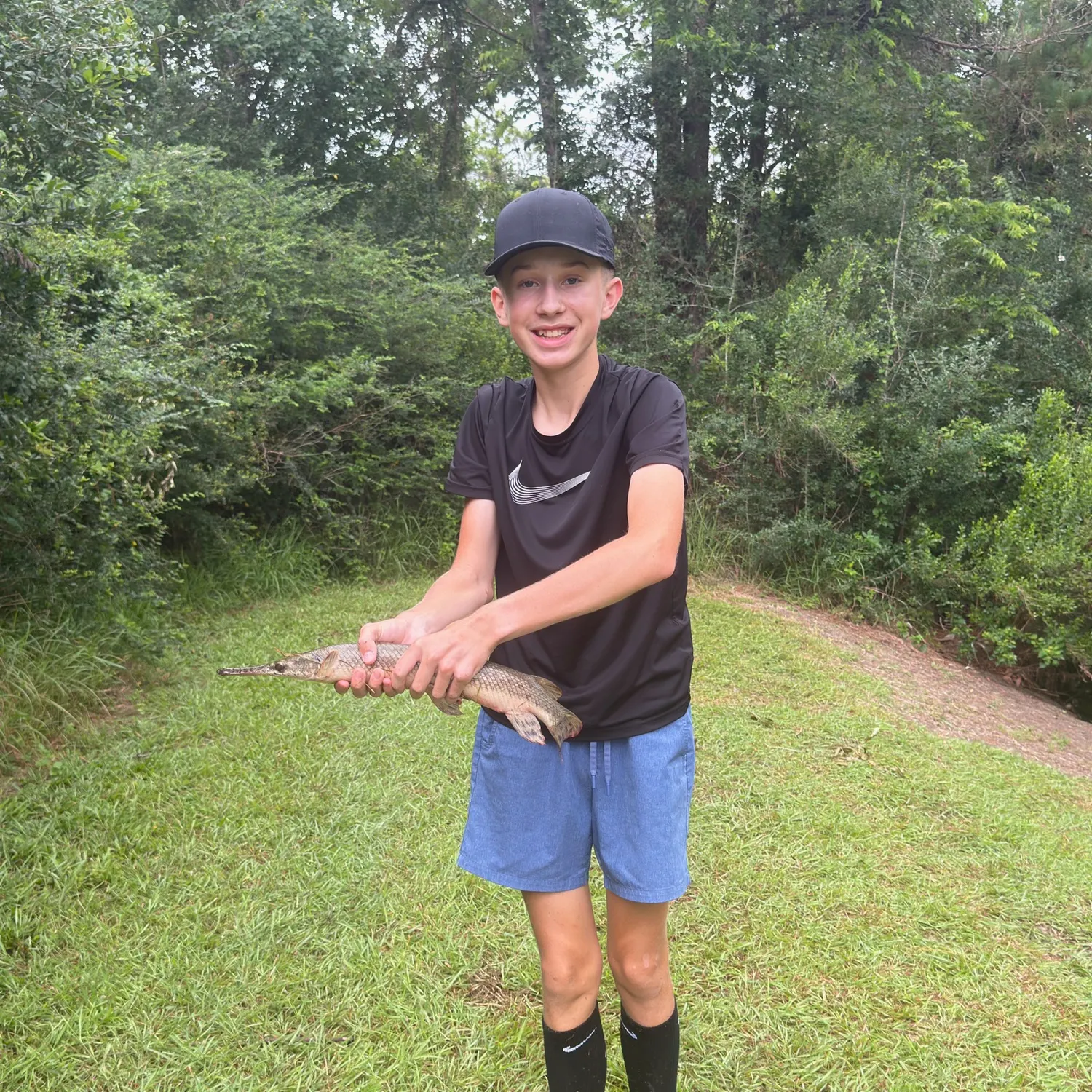 The most recent Spotted gar catches on Fishbrain
