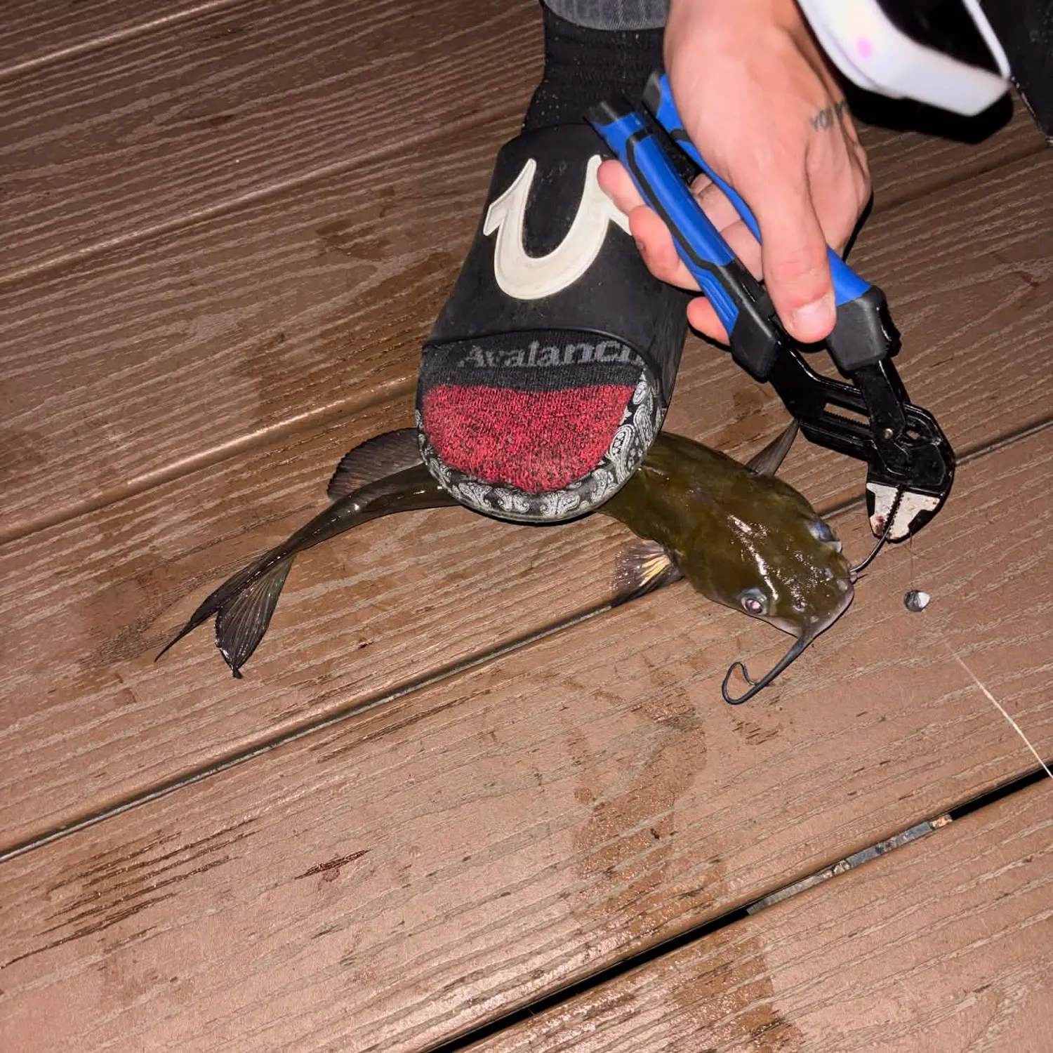 recently logged catches