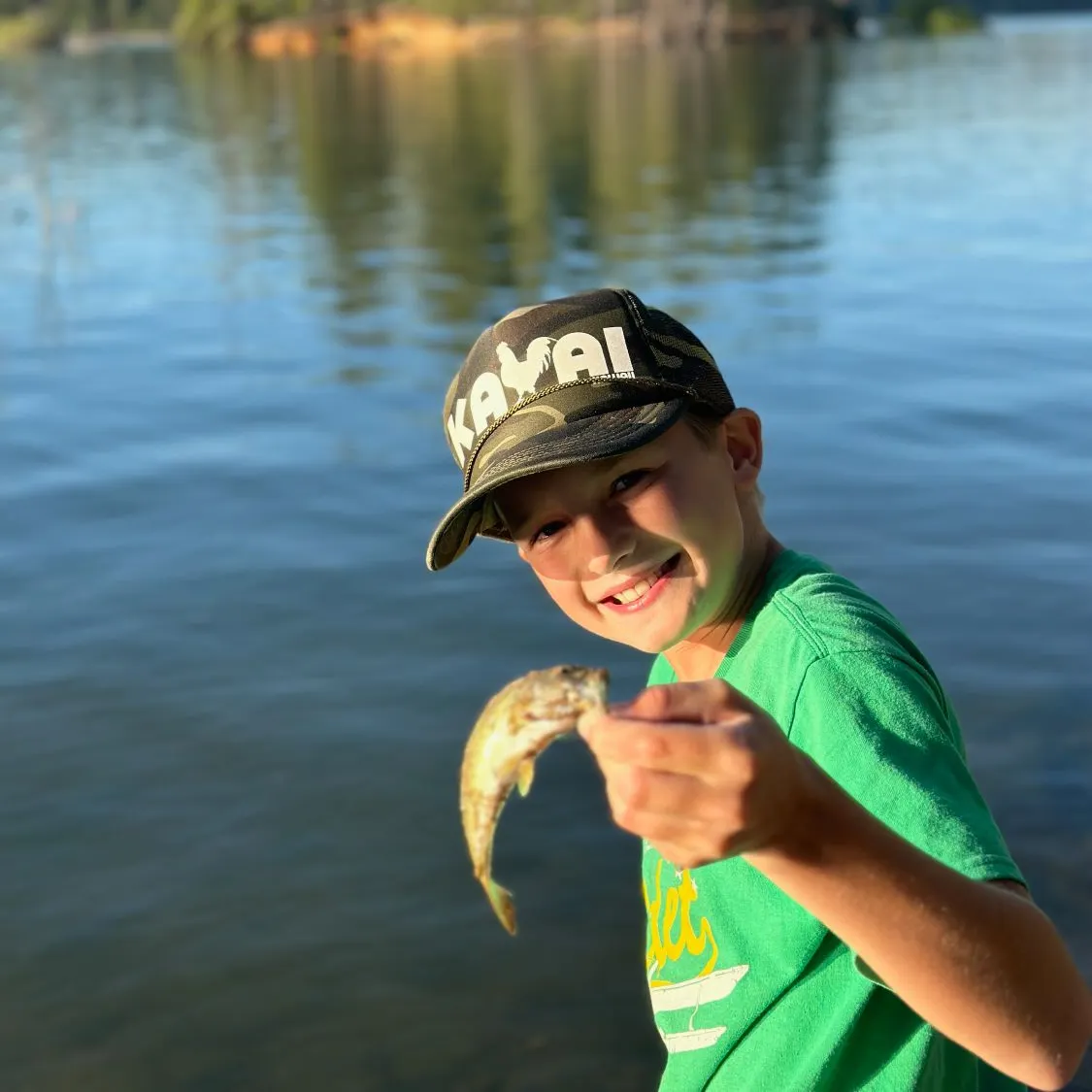 most liked catch image