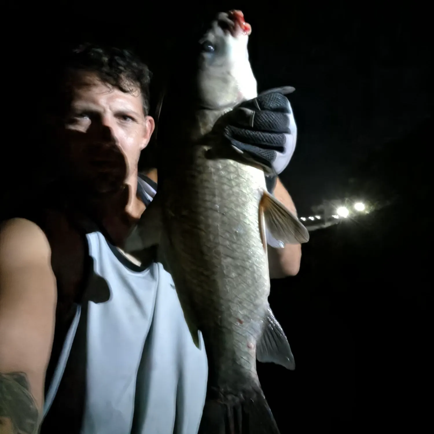 Fish caught on Fishbrain