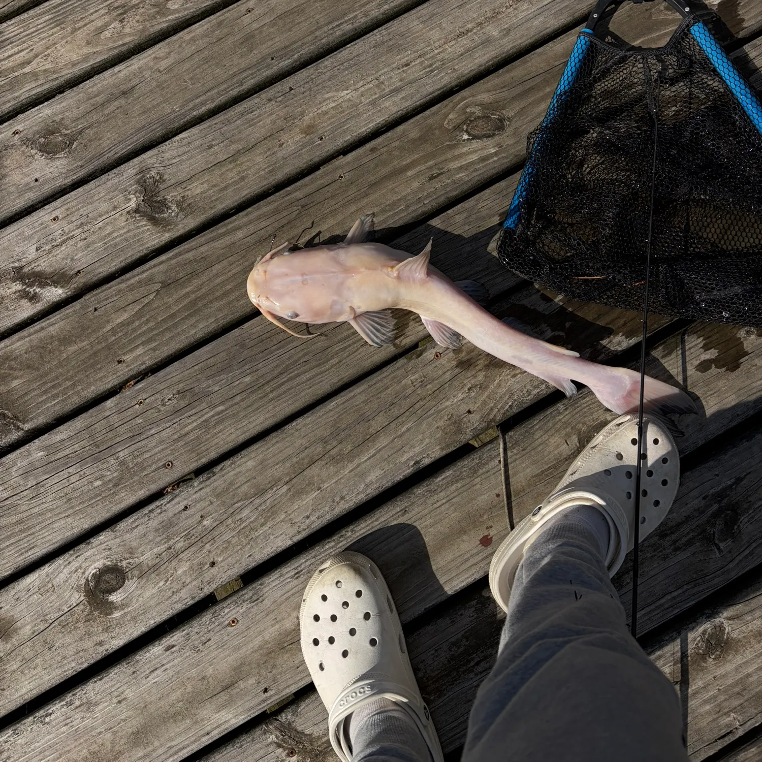 catch