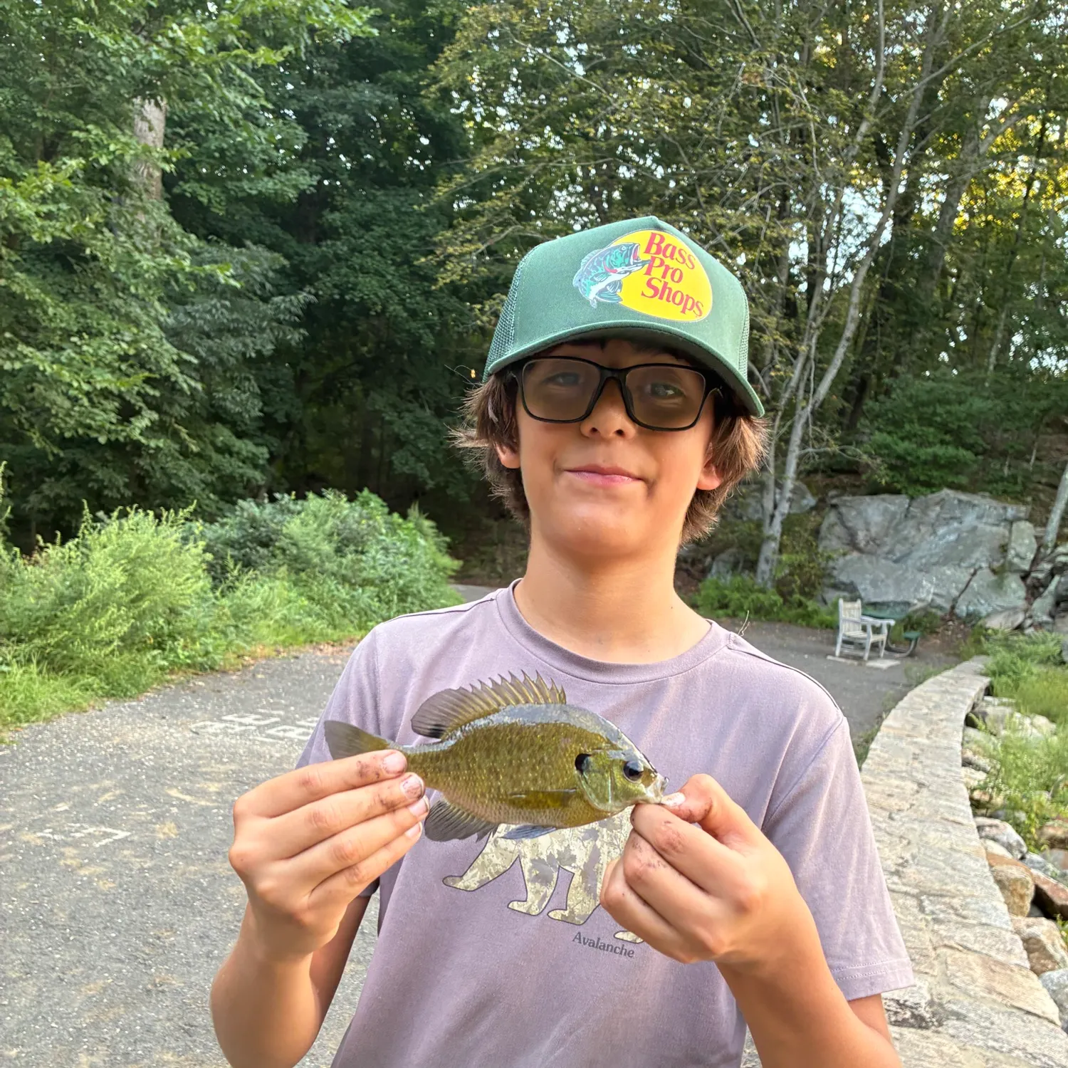 Bluegill caught on Fishbrain