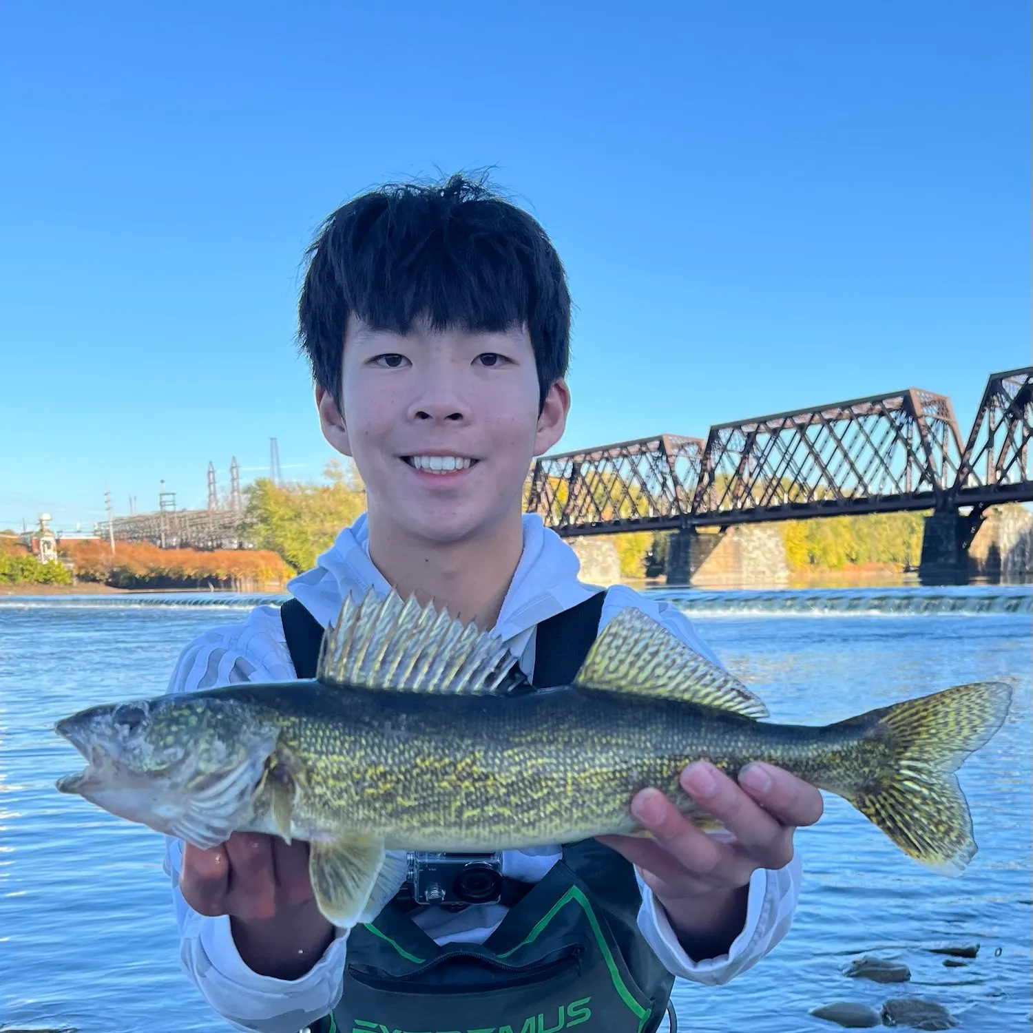 Walleye caught on Fishbrain