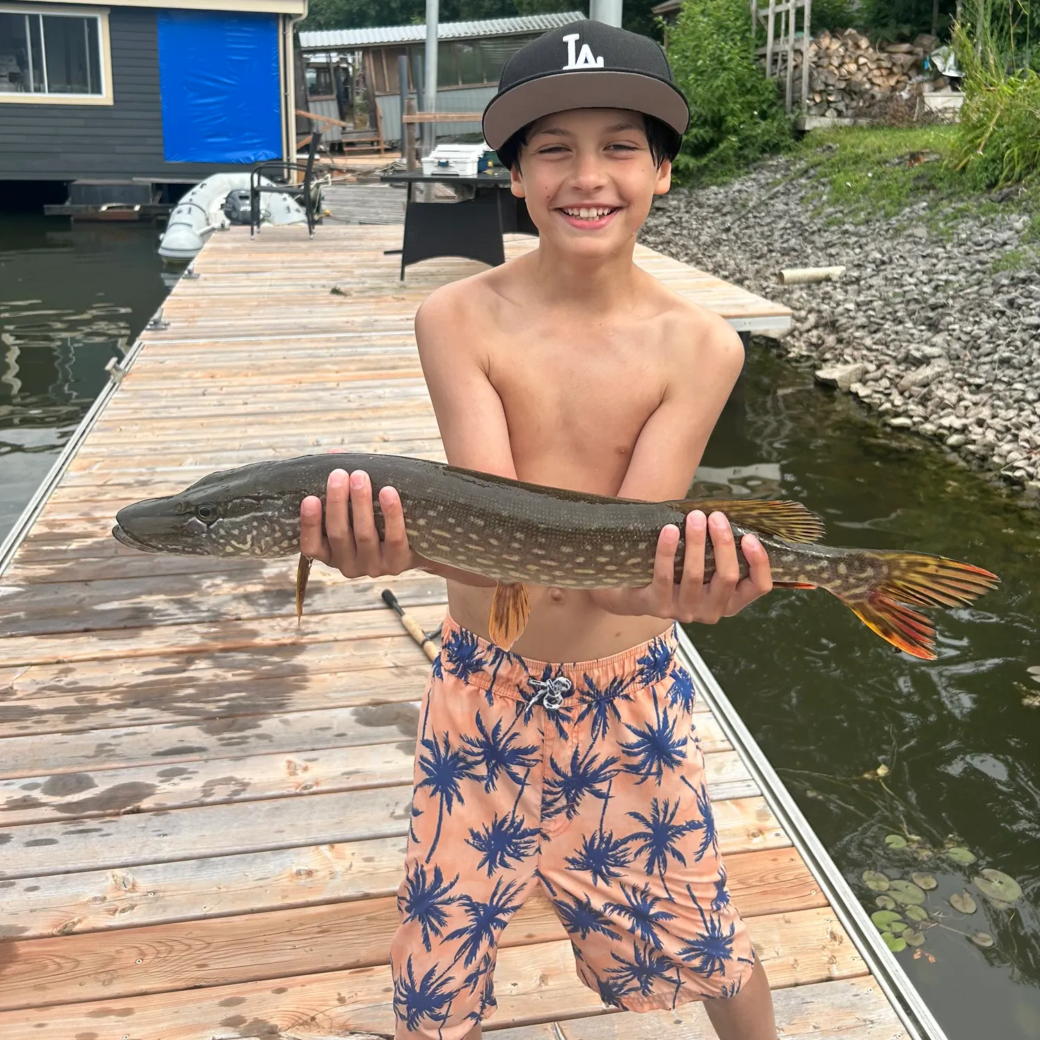 recently logged catches