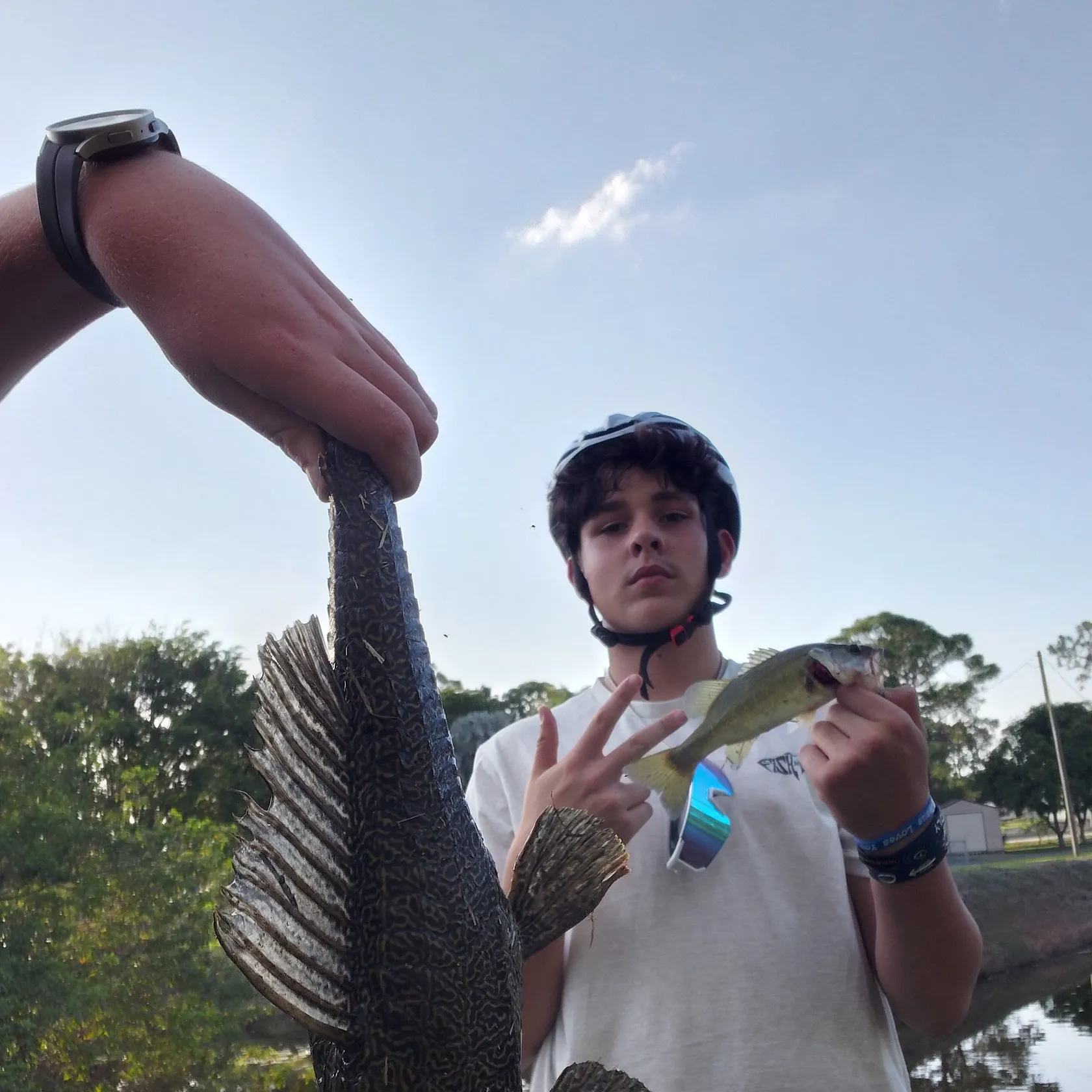 The most recent Suckermouth catfish catches on Fishbrain