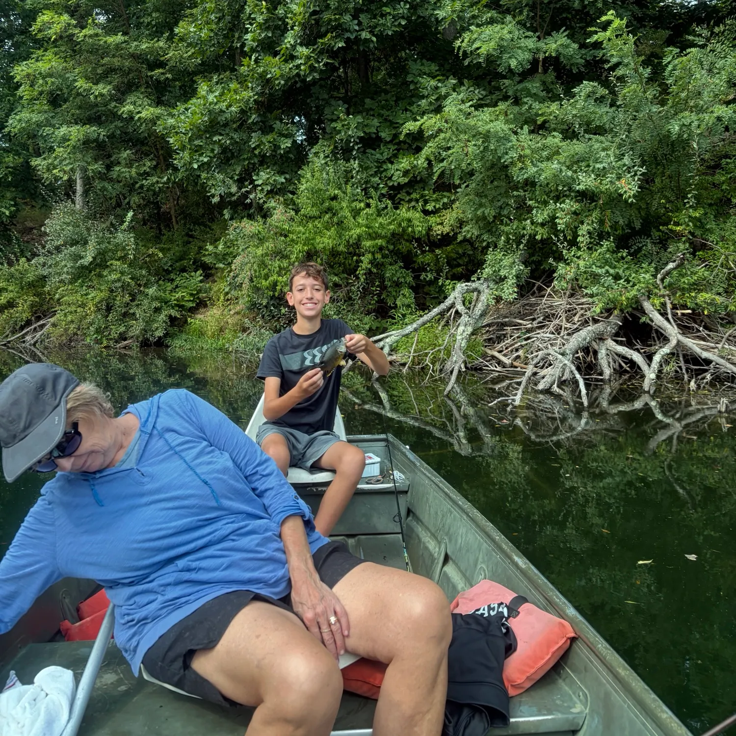 Green sunfish caught on Fishbrain