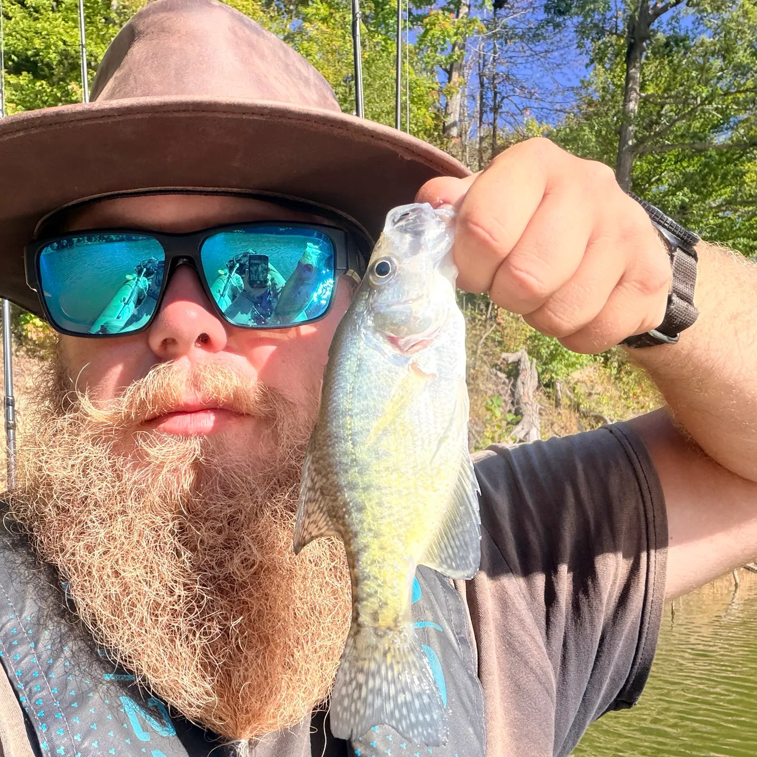 White crappie caught on Fishbrain