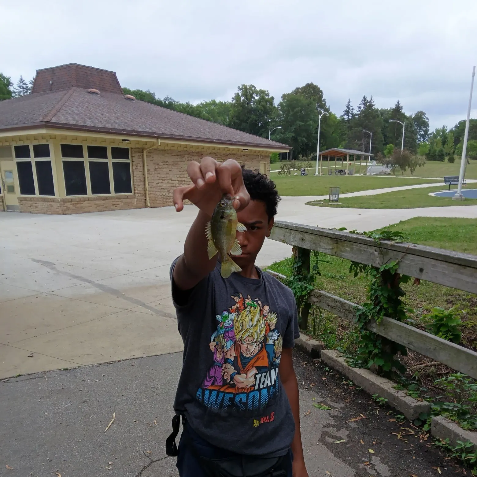 Spotted sunfish caught on Fishbrain