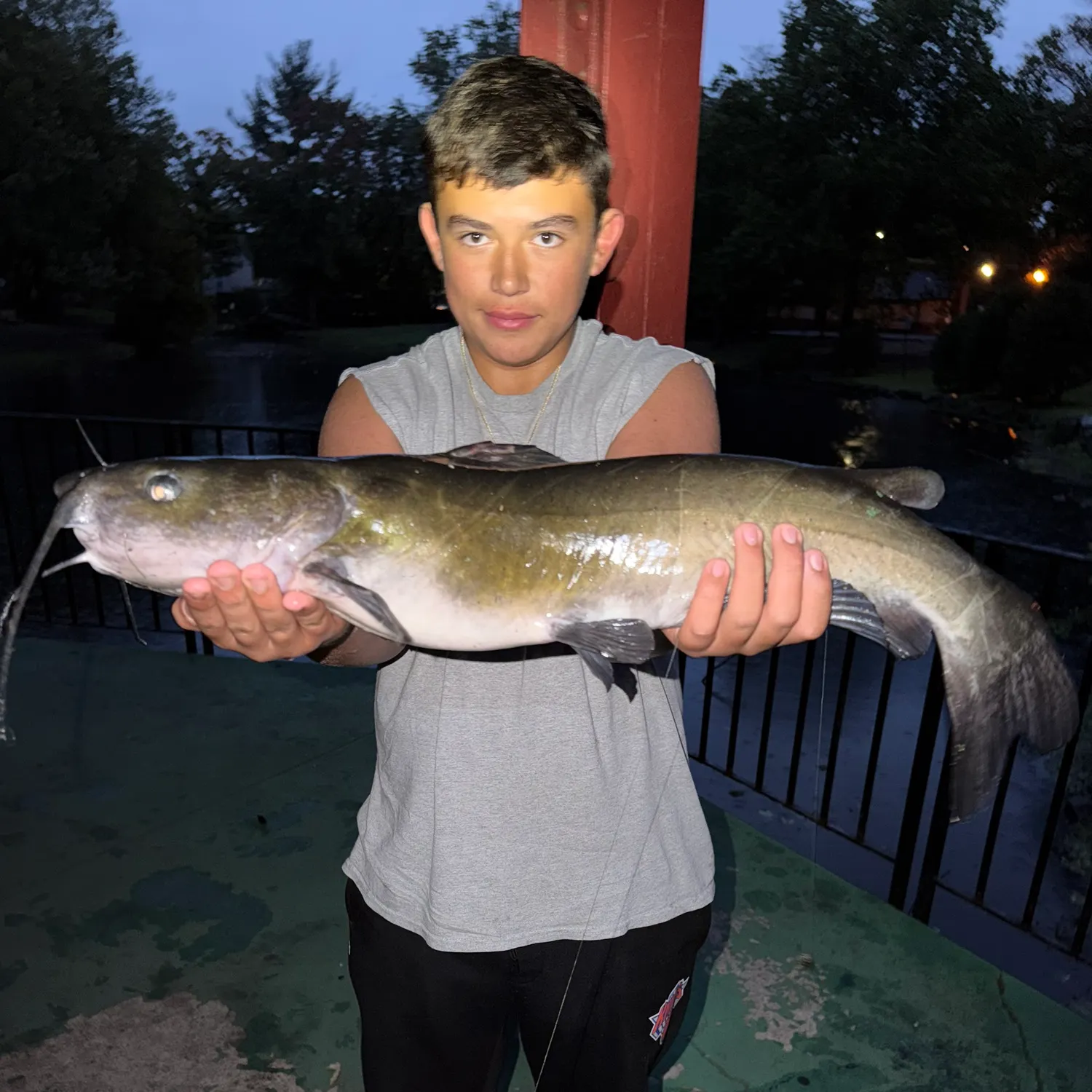 Channel catfish caught on Fishbrain