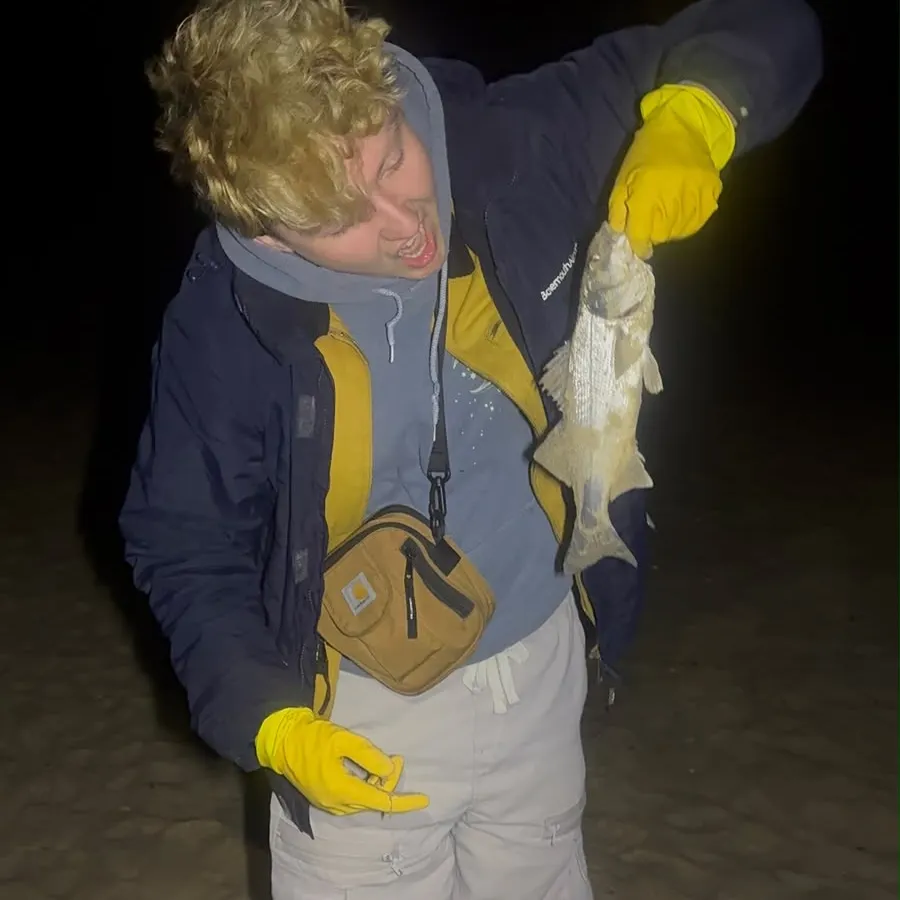 European seabass caught on Fishbrain