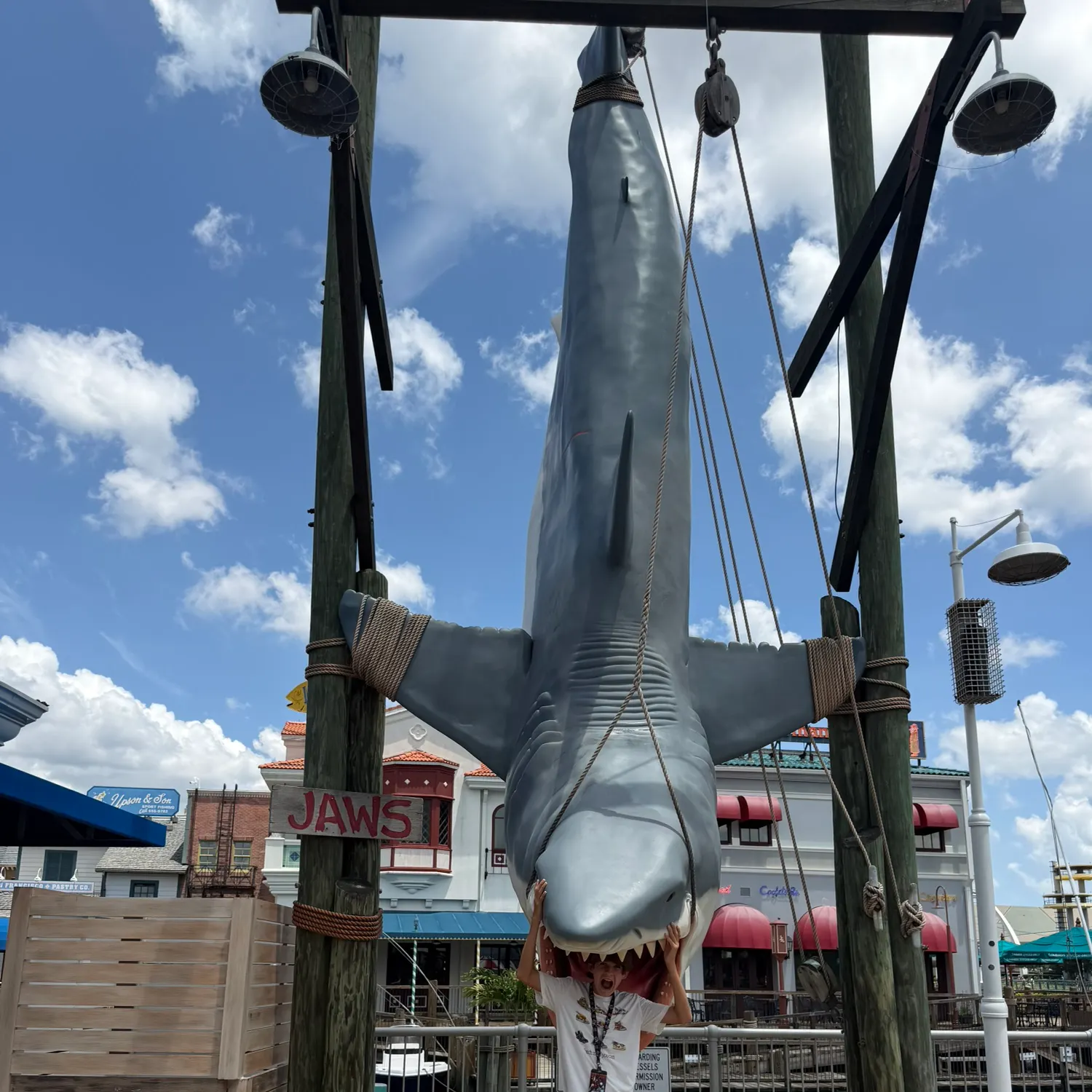 The most recent Great white shark catches on Fishbrain