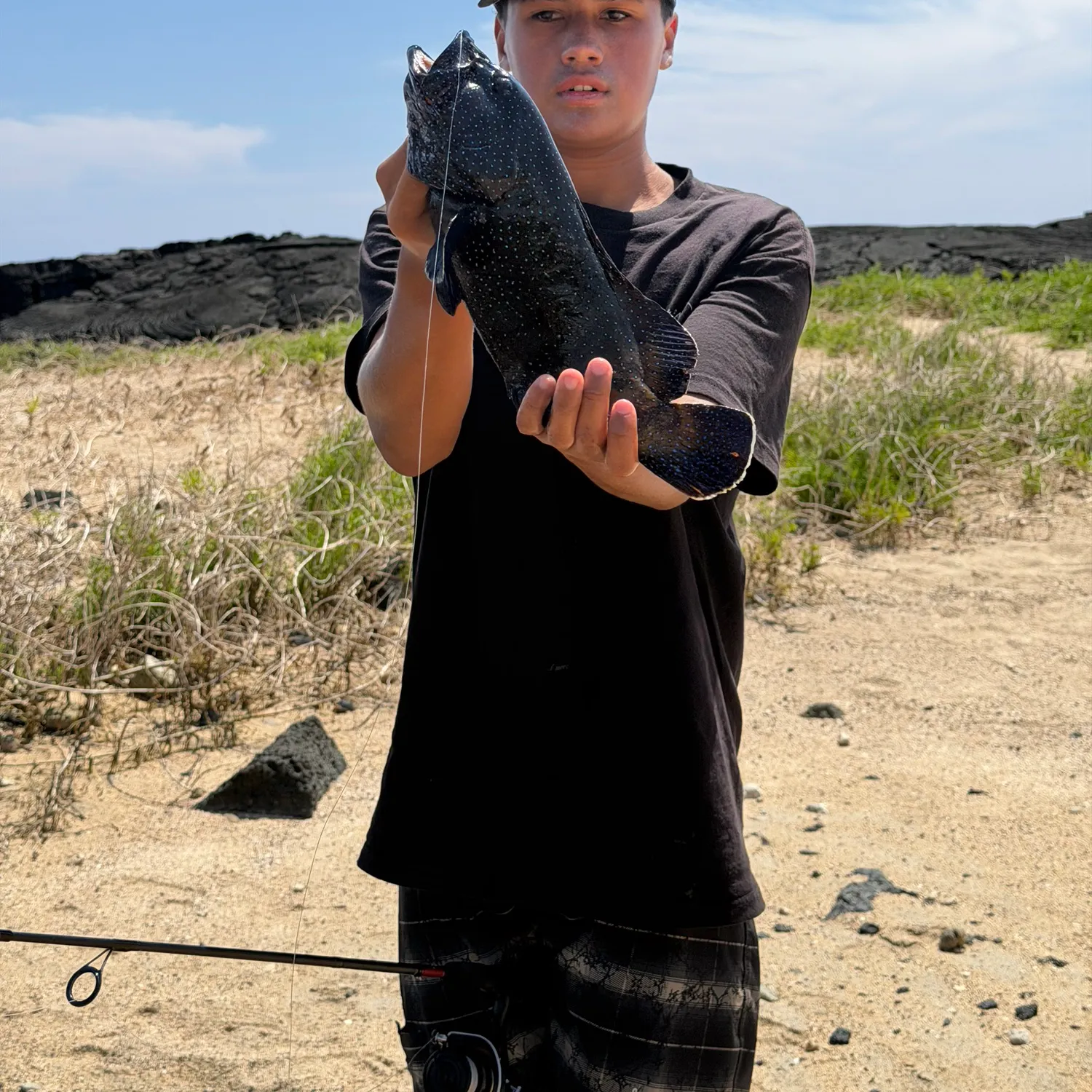 The most recent Peacock hind catches on Fishbrain