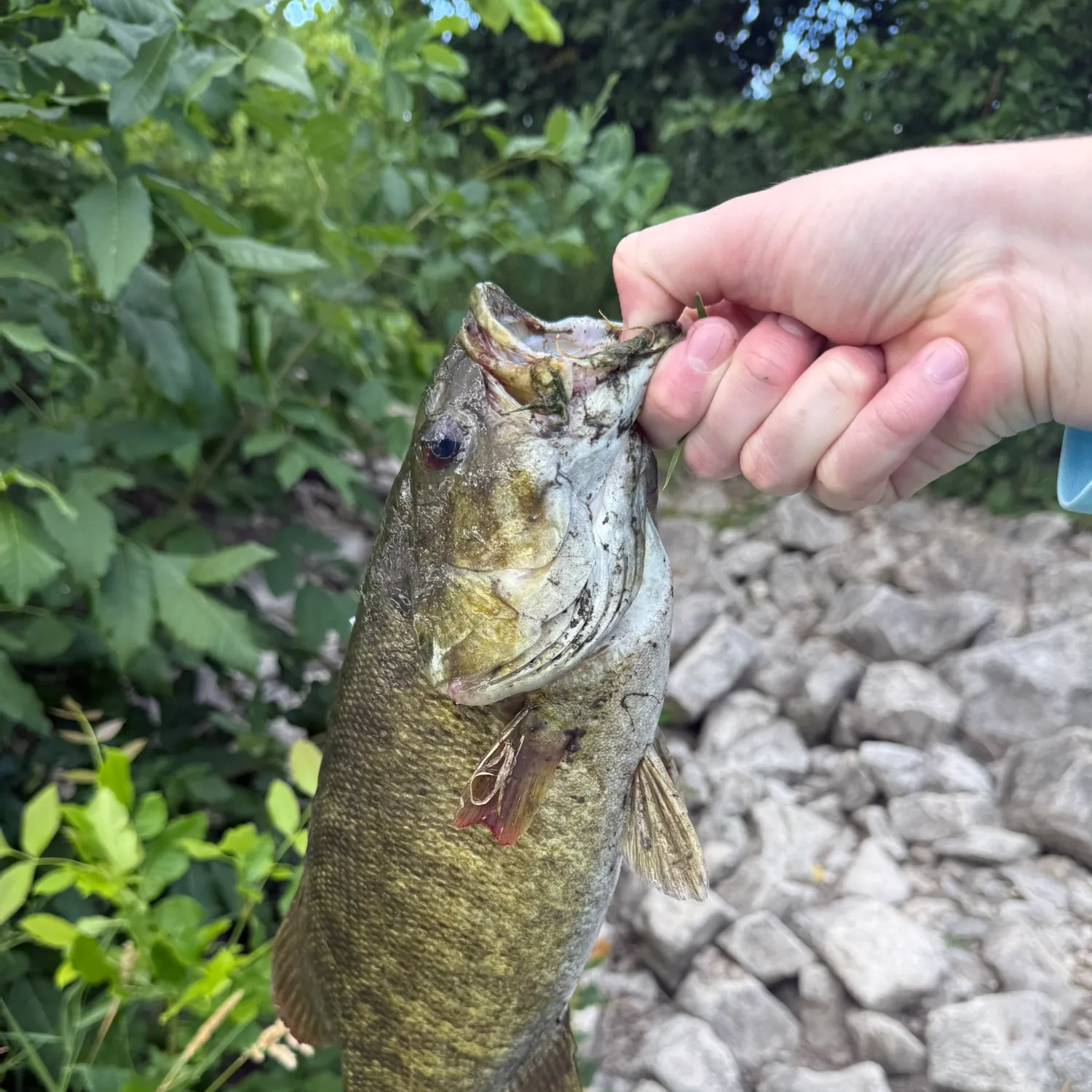 catch