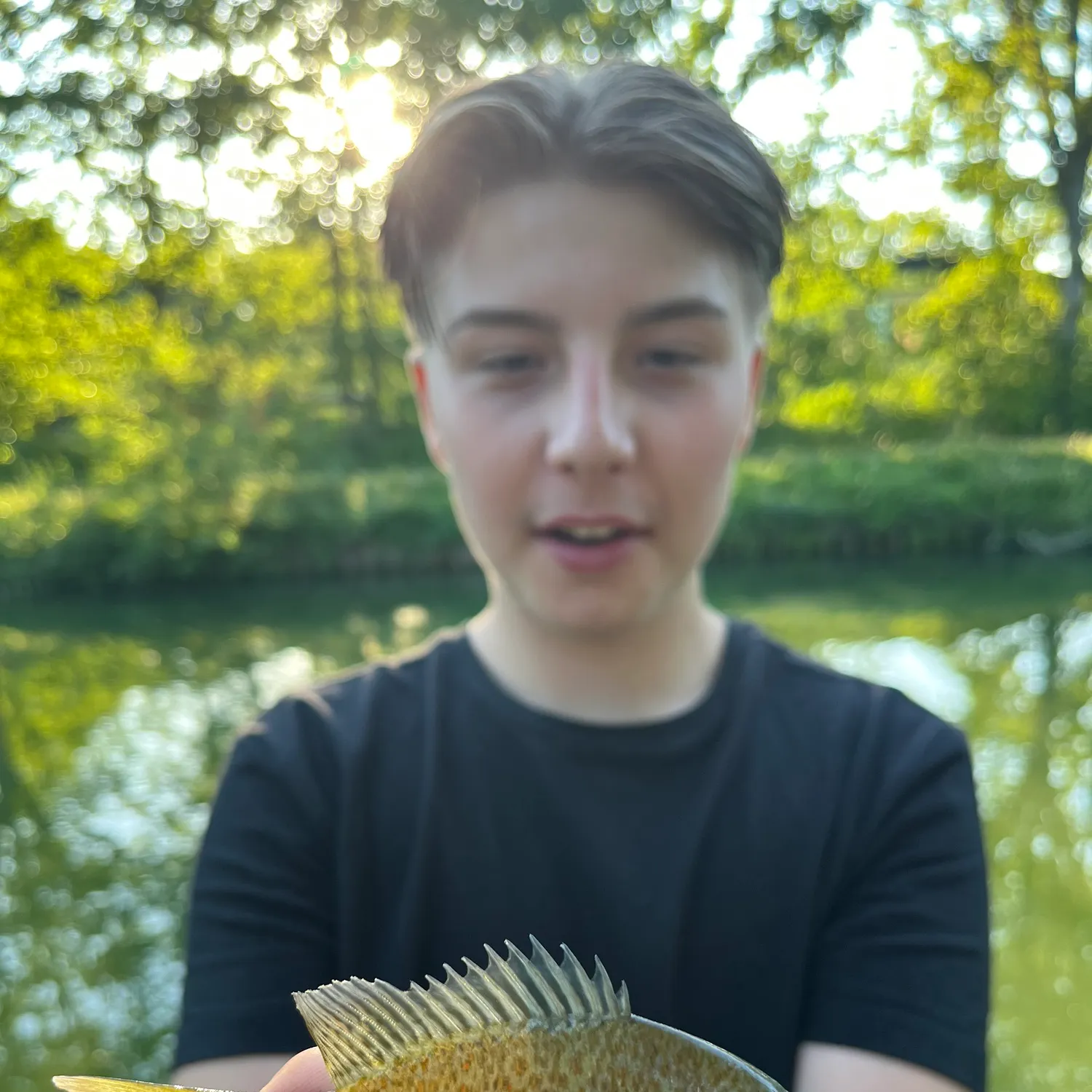Pumpkinseed caught on Fishbrain