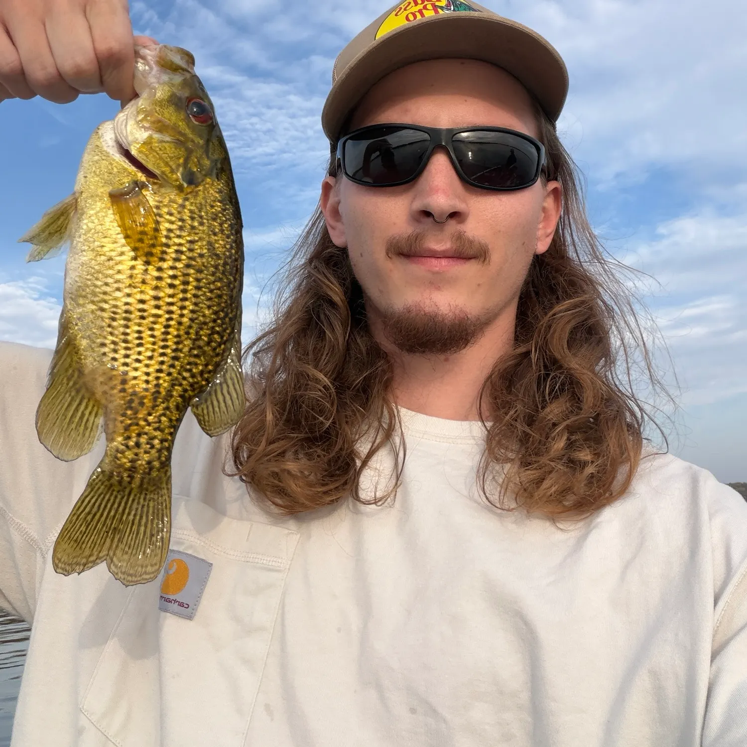 Rock bass caught on Fishbrain
