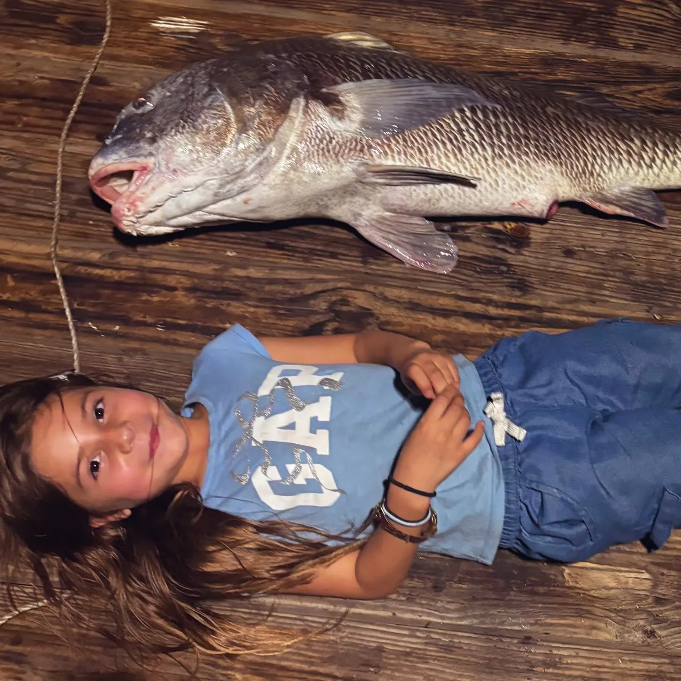 Black drum caught on Fishbrain