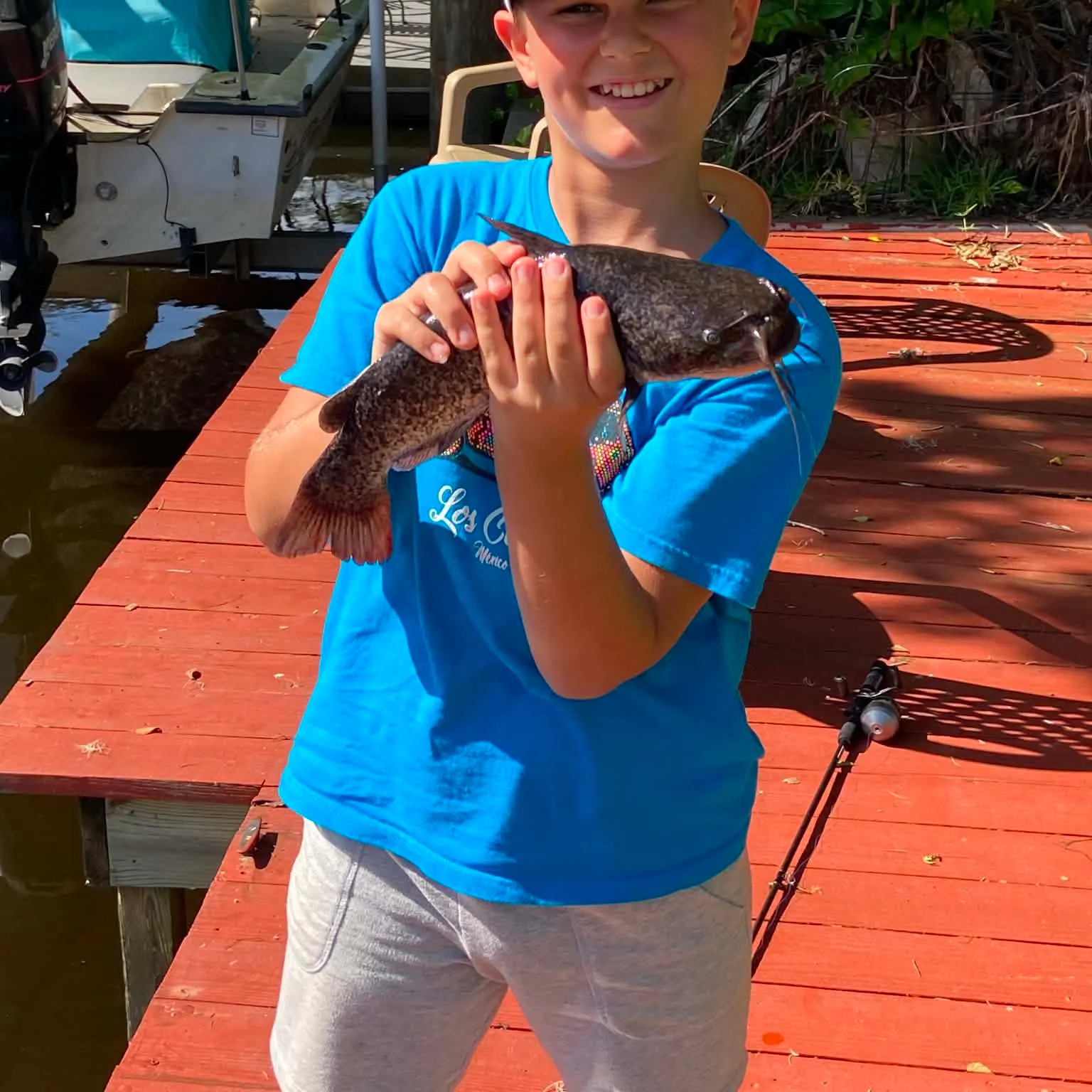The most recent Giant sea catfish catches on Fishbrain