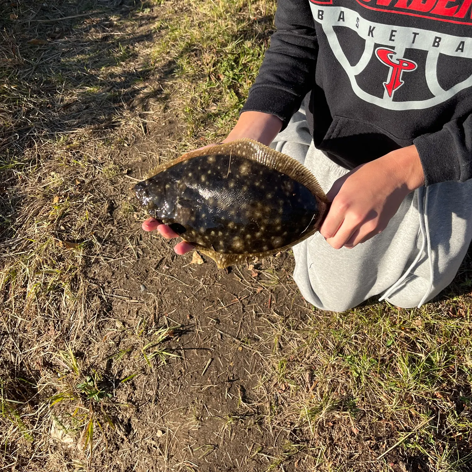 Summer flounder caught on Fishbrain