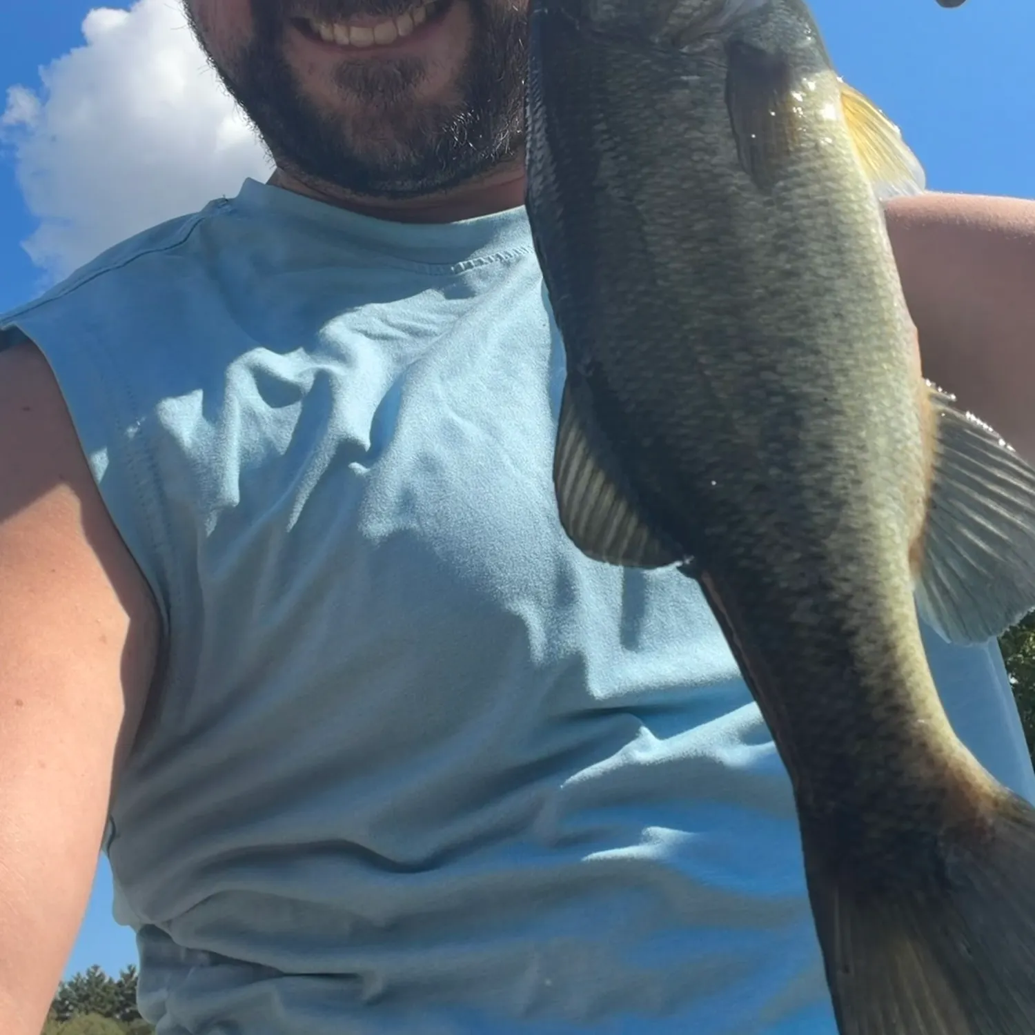 Largemouth bass caught on Fishbrain