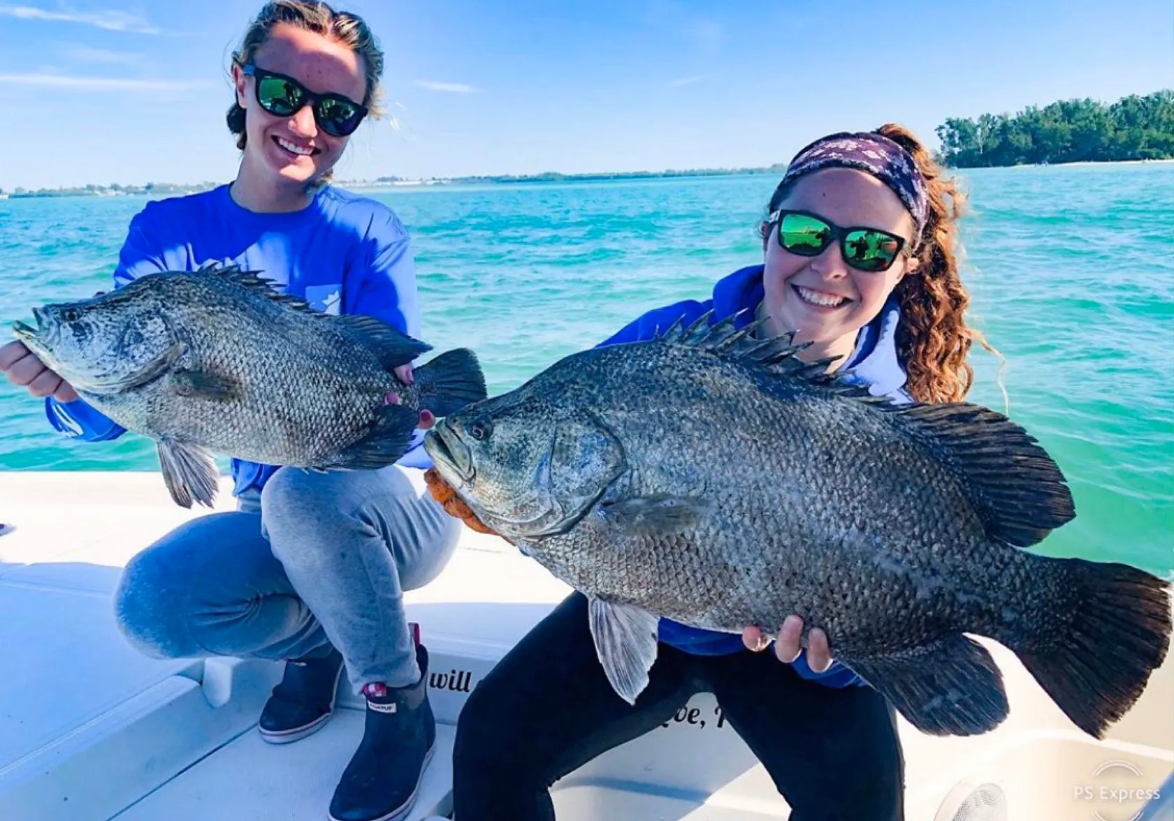 Atlantic tripletail