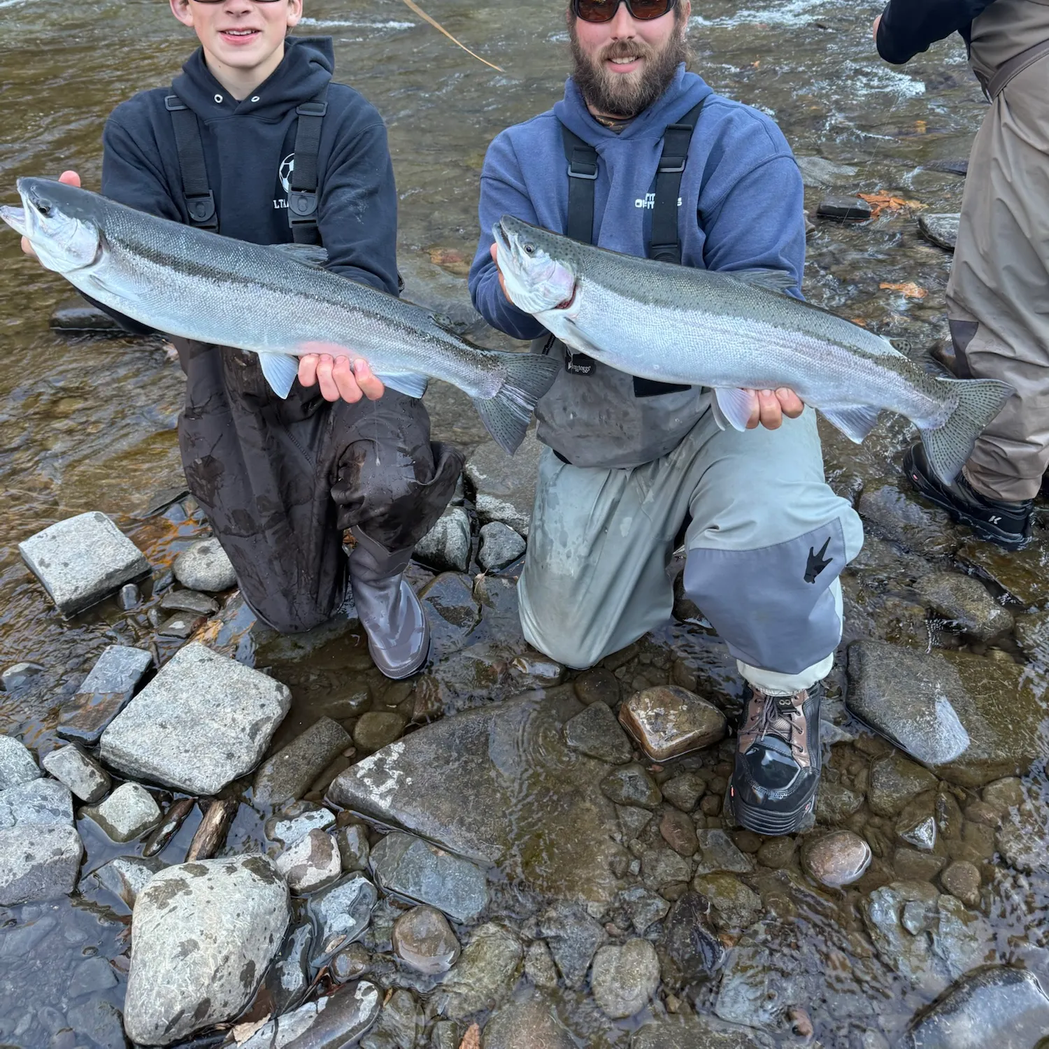 The most recent Steelhead catches on Fishbrain