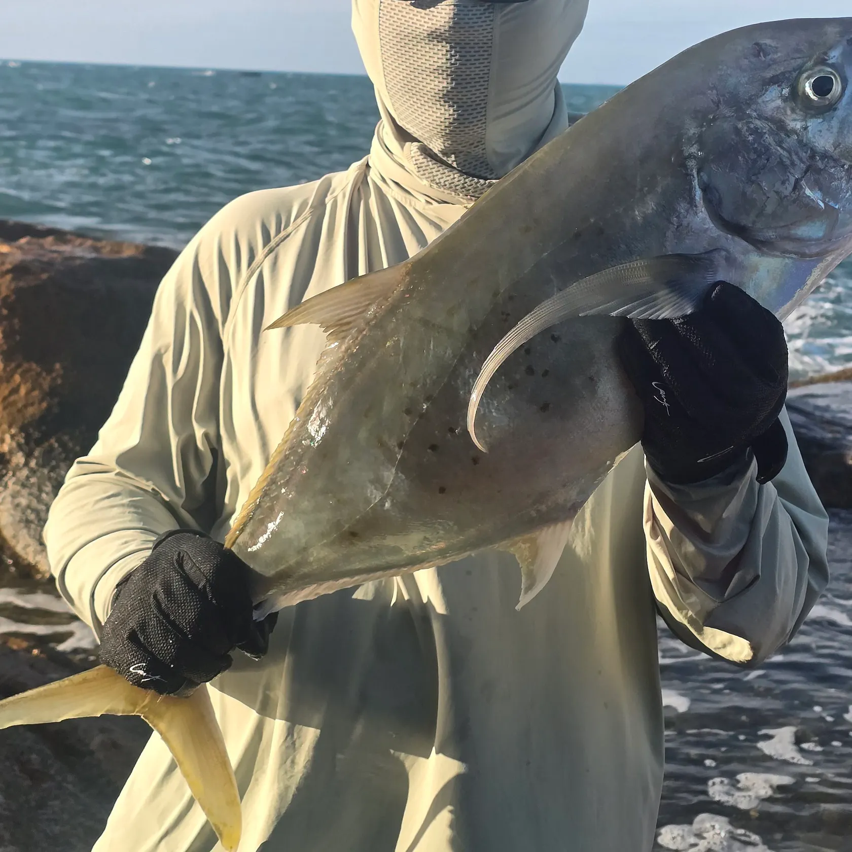The most recent Yellowspotted trevally catches on Fishbrain