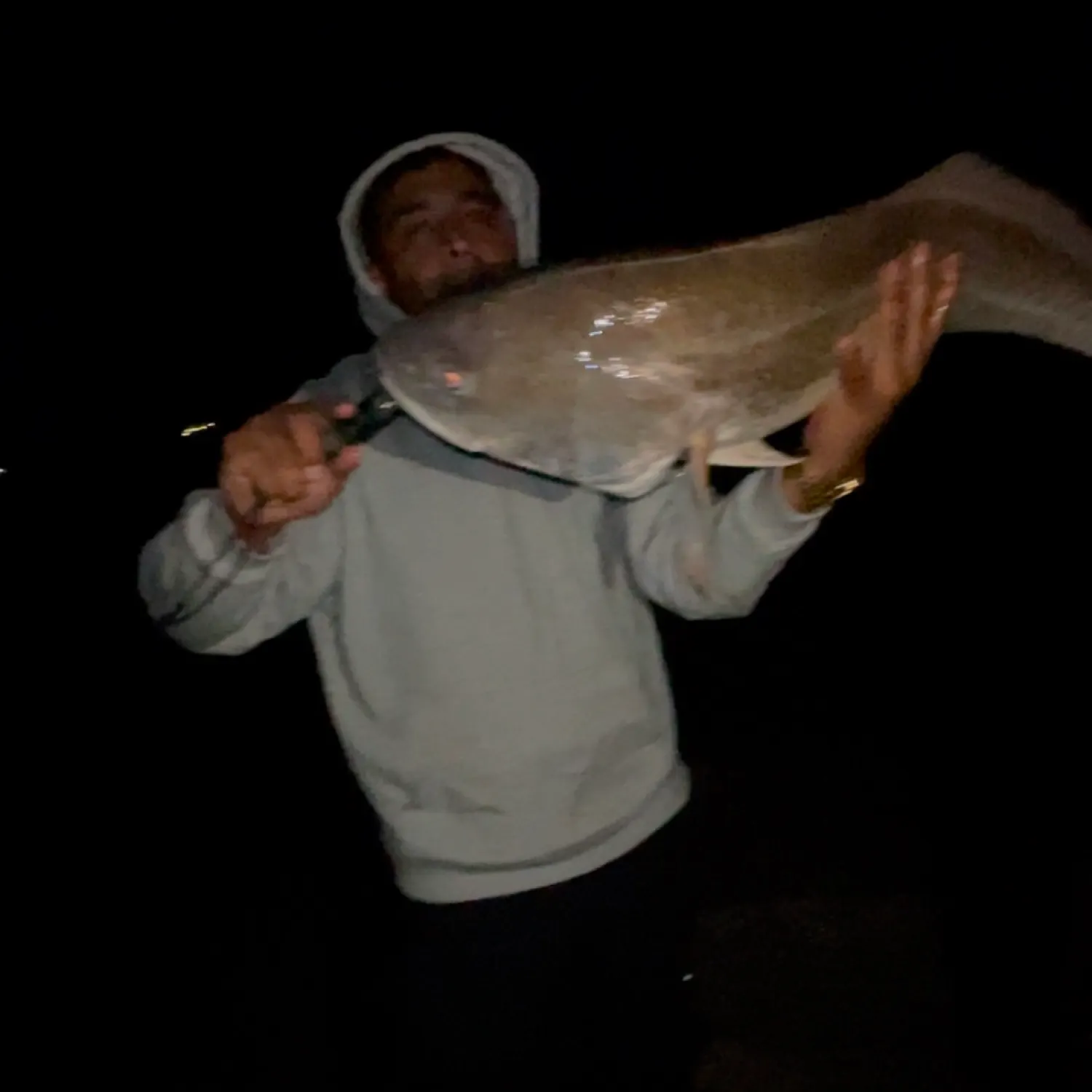 The most recent Corvina drum catches on Fishbrain