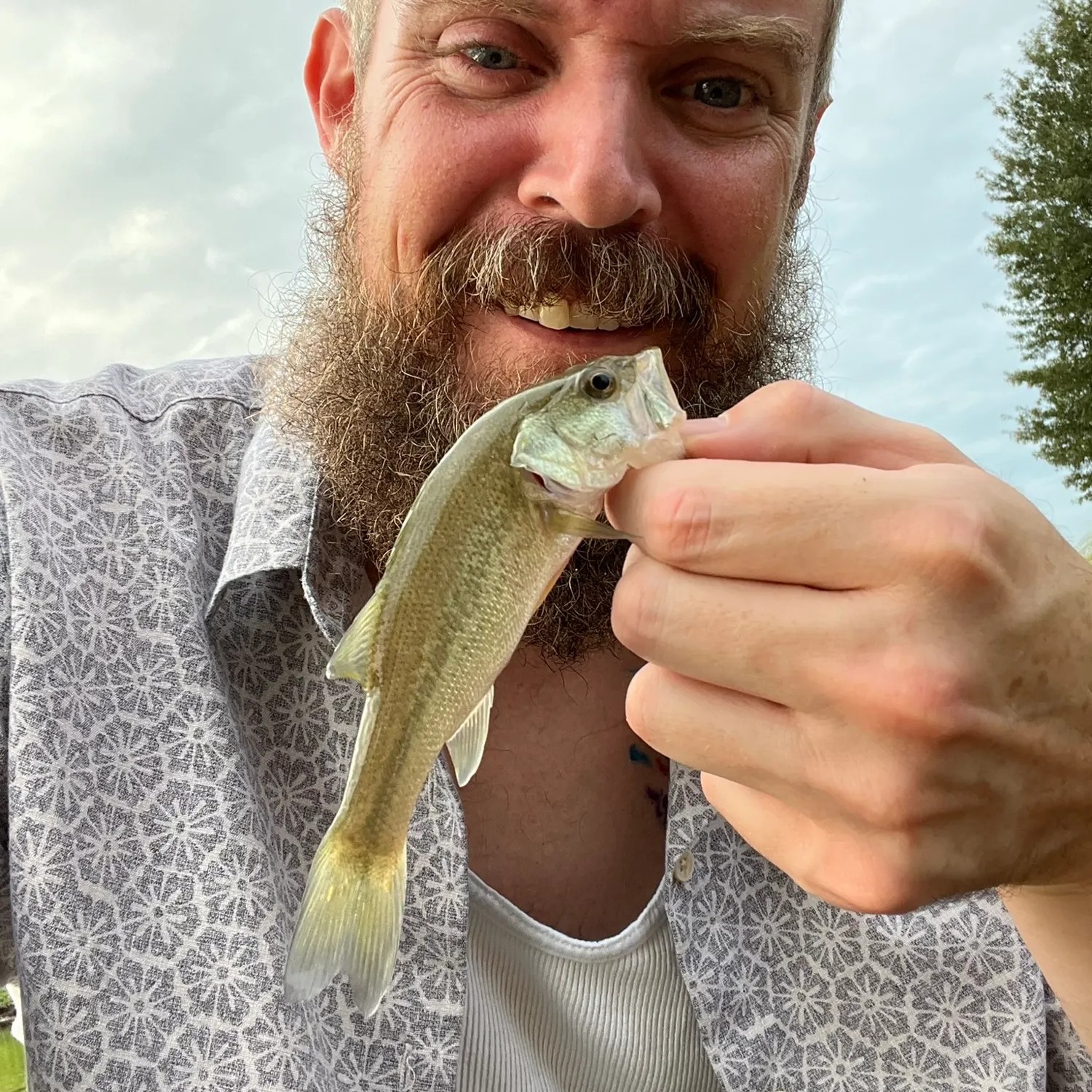 Fish caught on Fishbrain