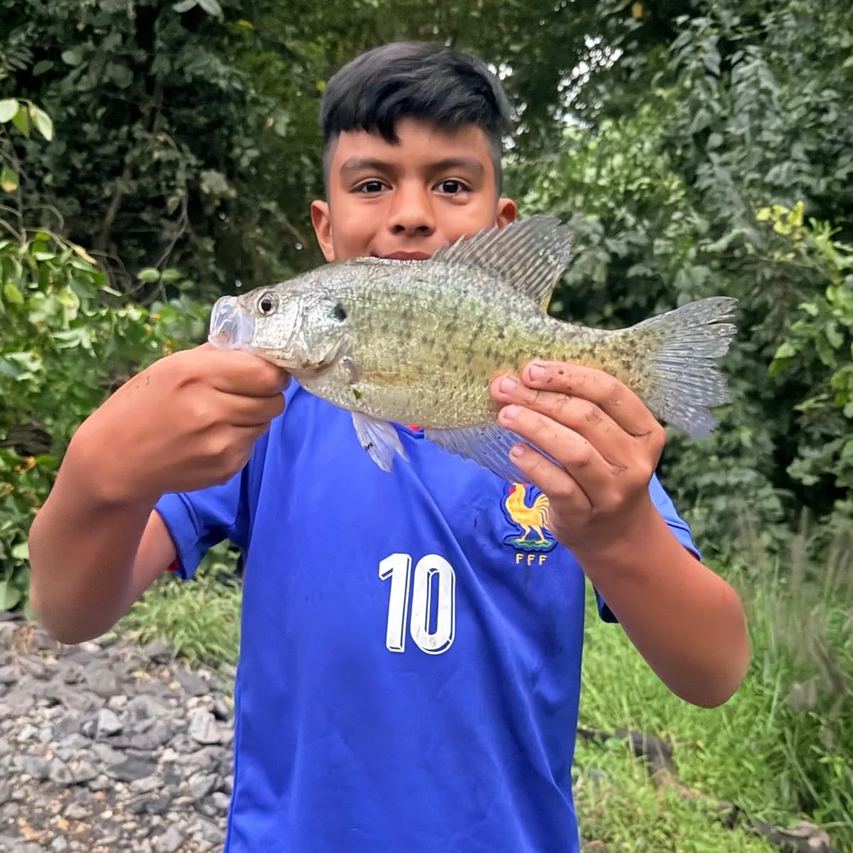 Black crappie caught on Fishbrain